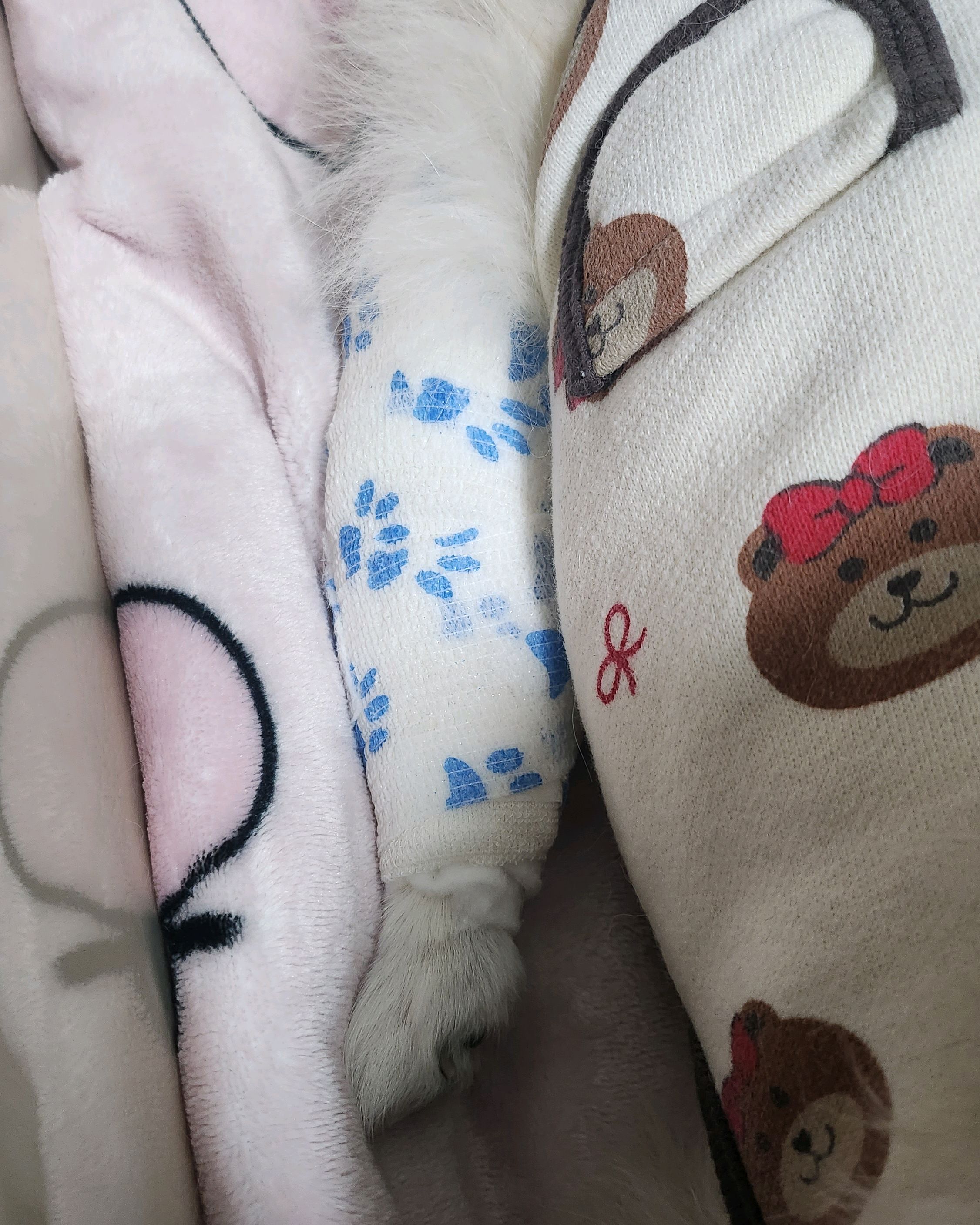 리뷰 사진 3