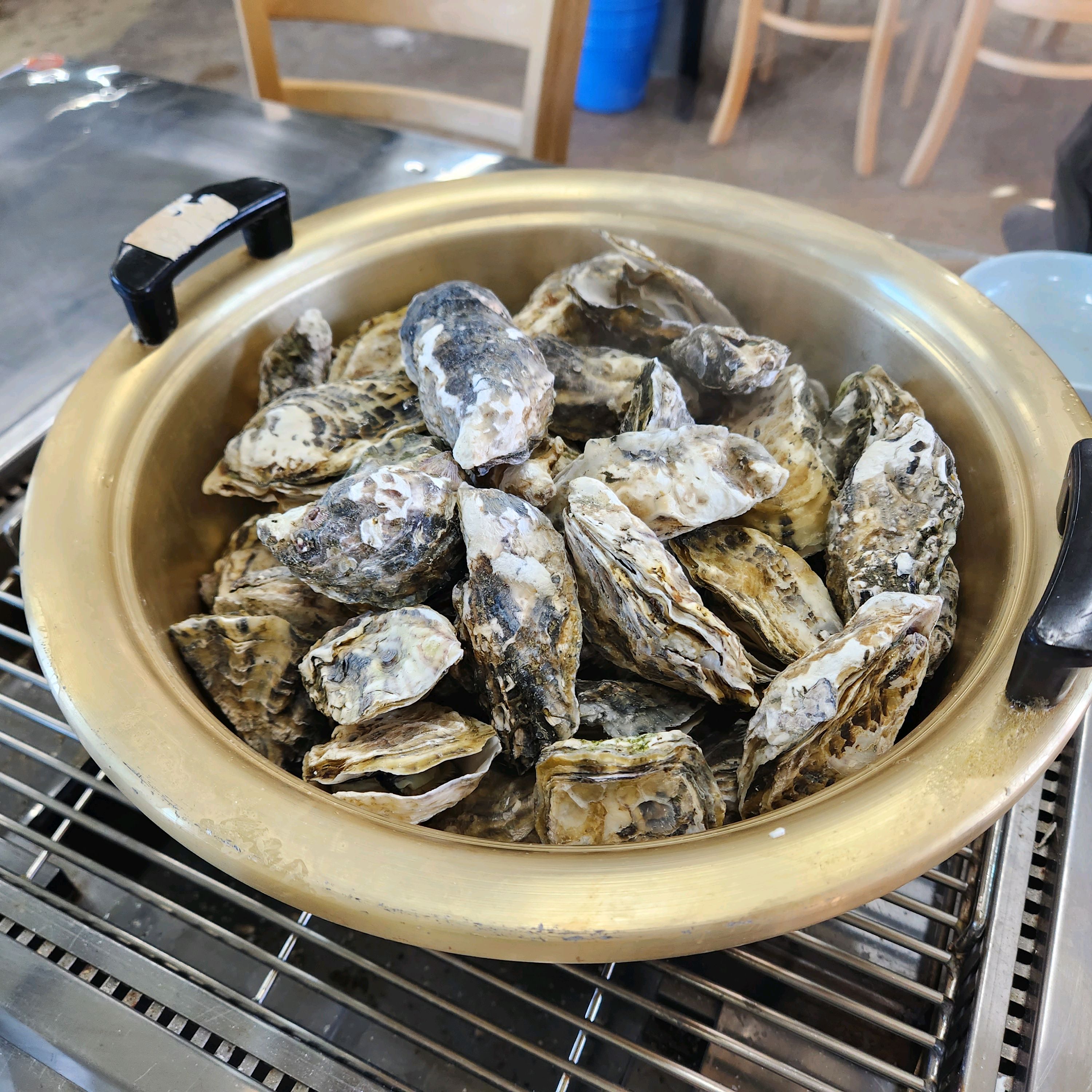 [여수 맛집 순애네 굴구이] 직접 가본 로컬 리뷰