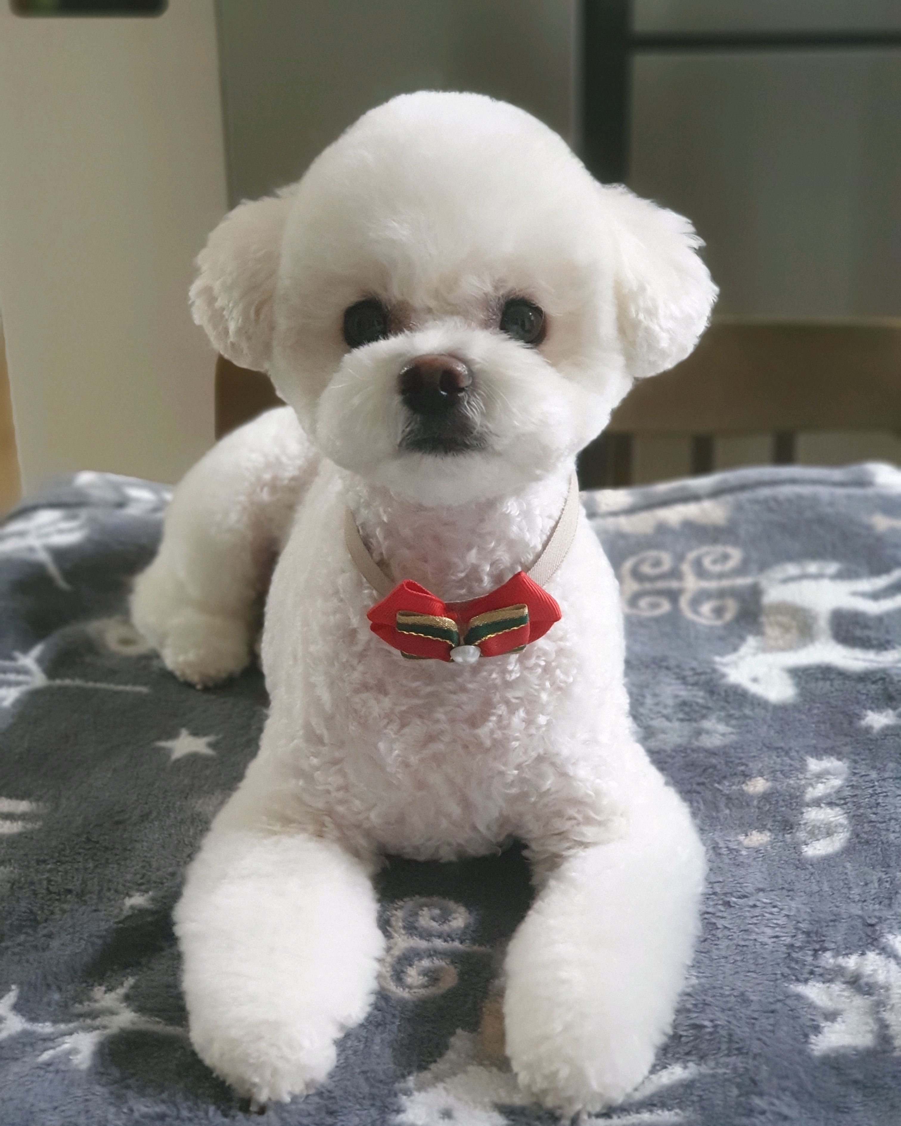 기흥동물병원 사진 2