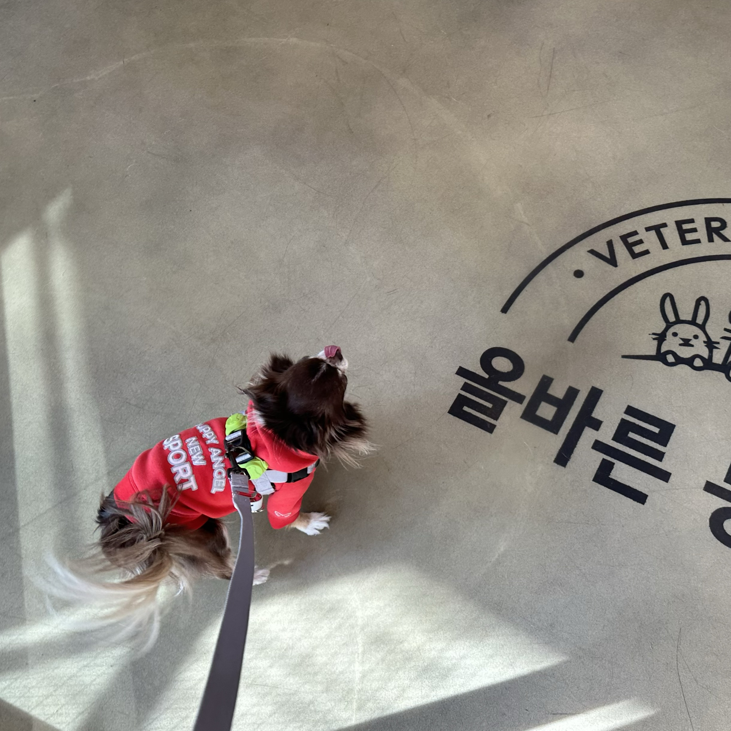 리뷰 사진 1