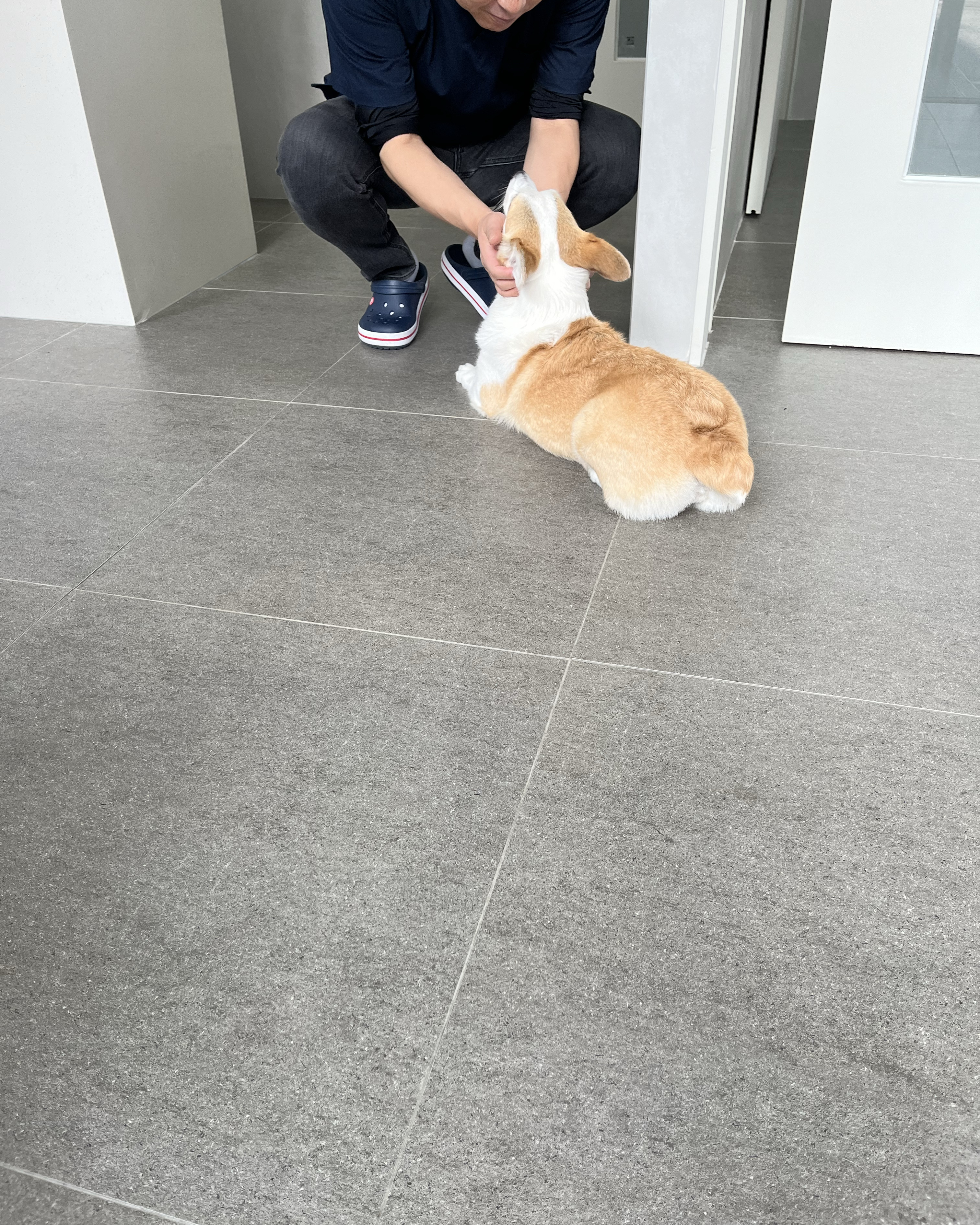 동물병원 유피 사진 2