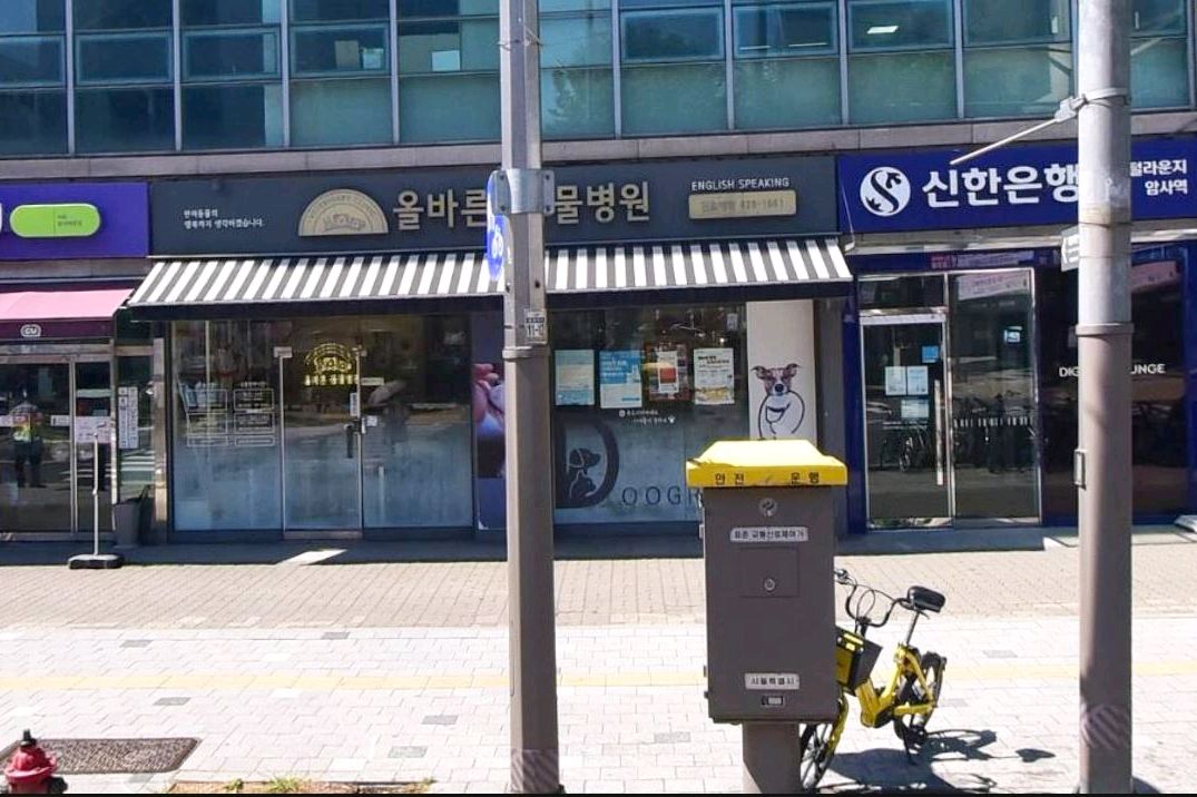 리뷰 사진 1