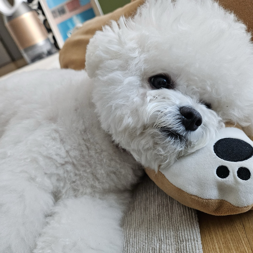 리뷰 사진 2