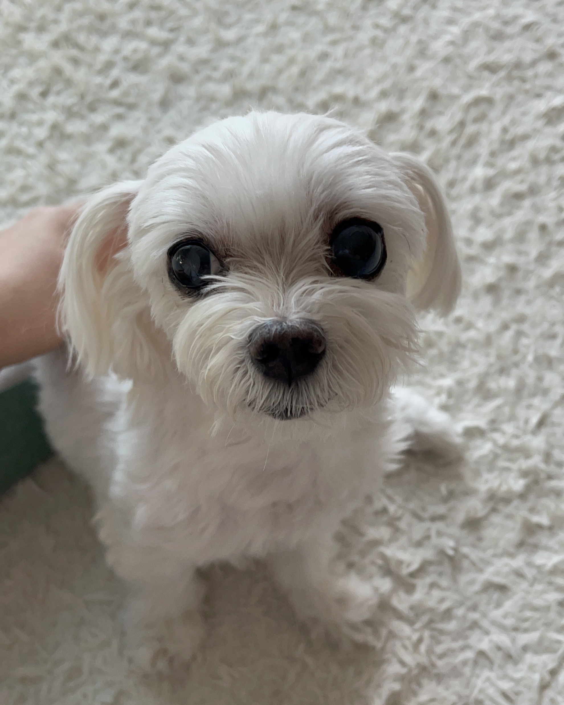 리뷰 사진 1