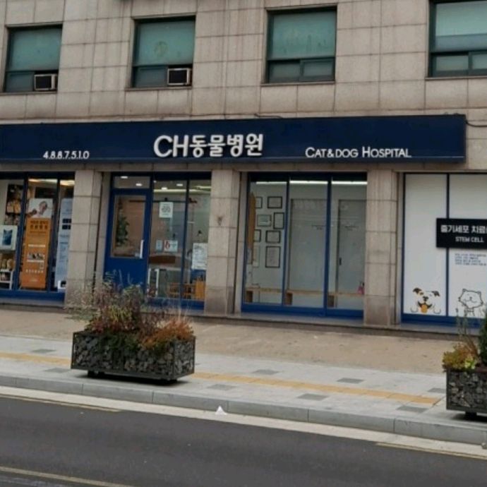 리뷰 사진 1