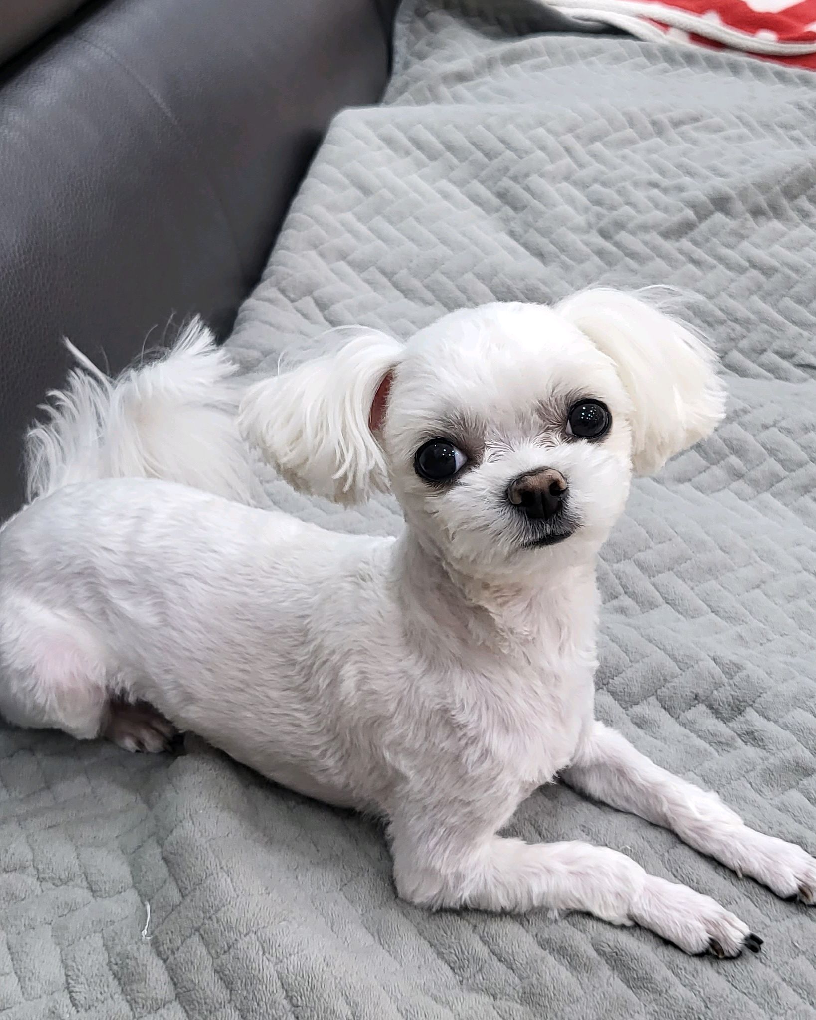 리뷰 사진 1