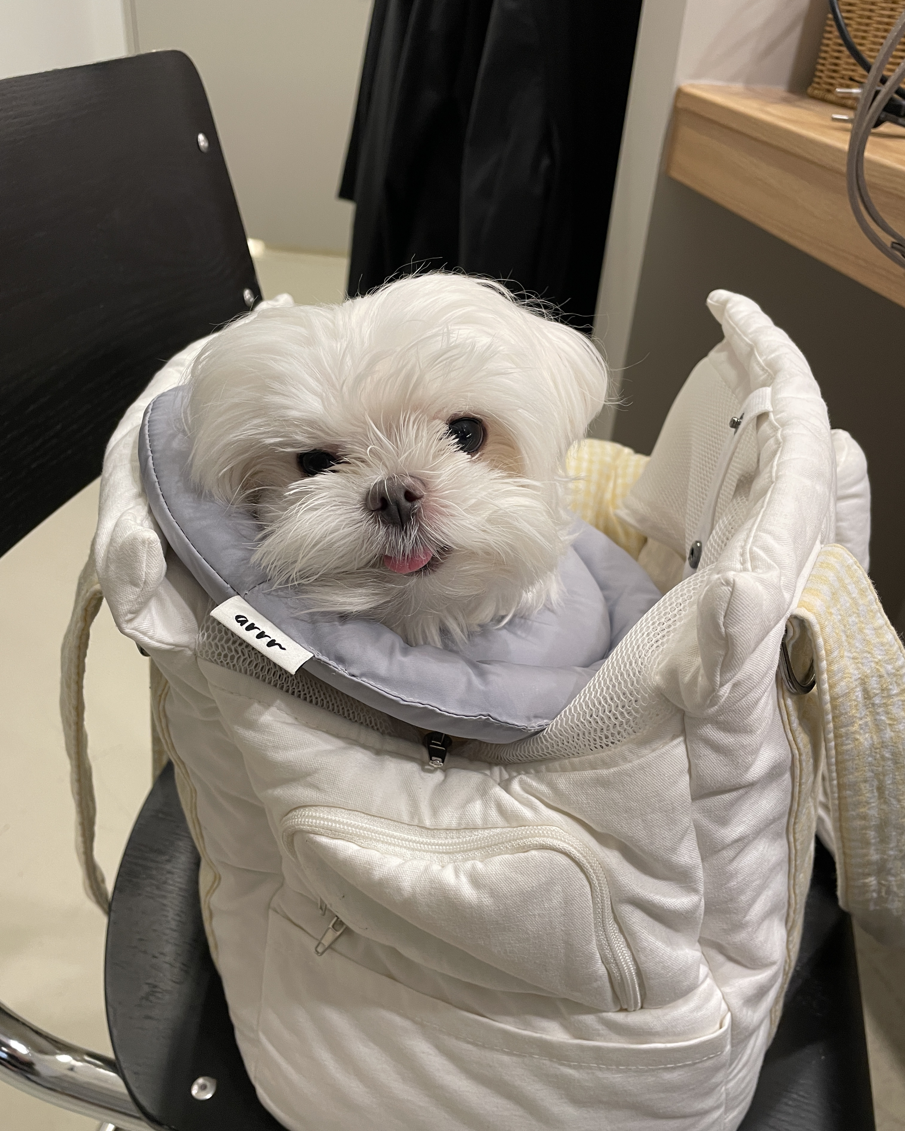 리뷰 사진 3