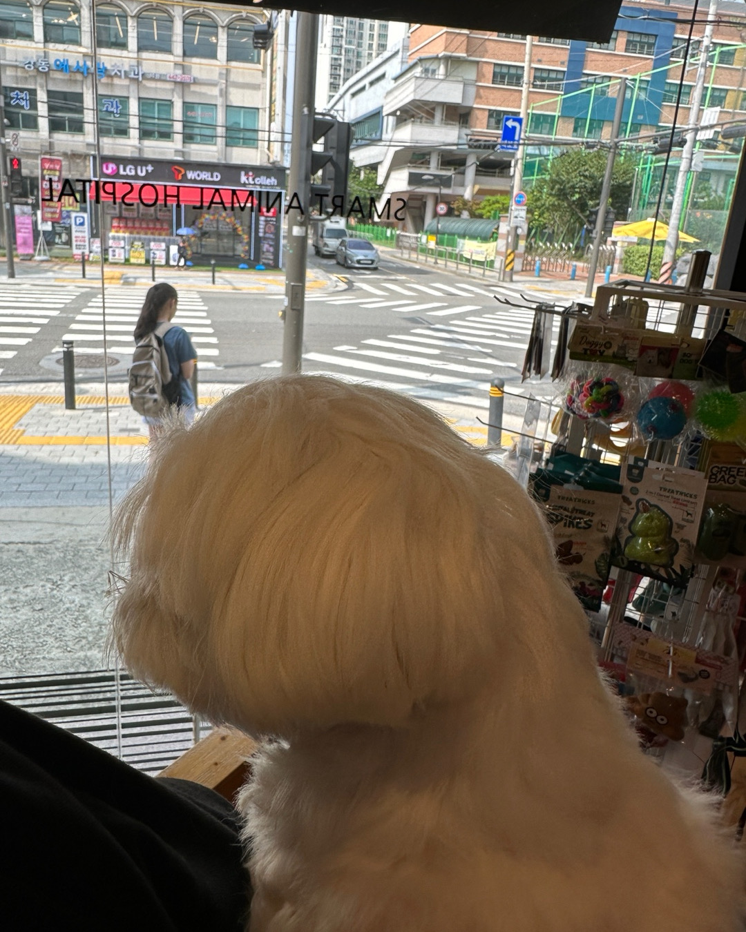 리뷰 사진 1