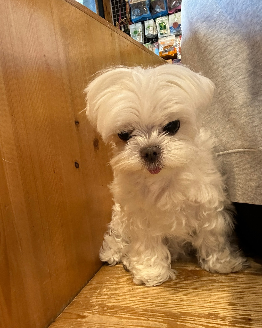 리뷰 사진 2