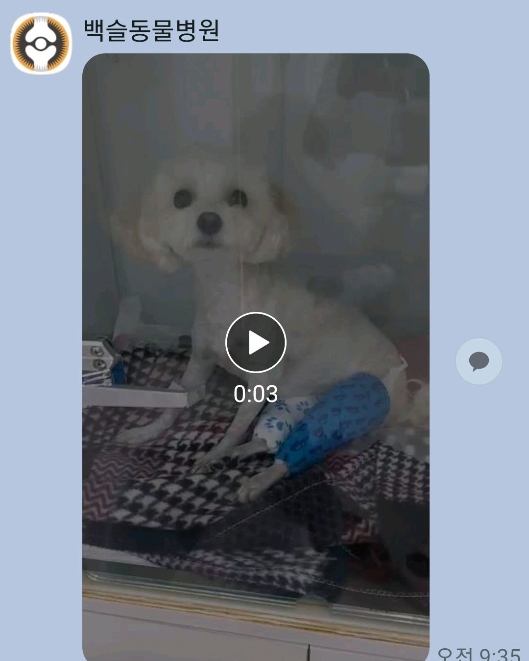 리뷰 사진 1