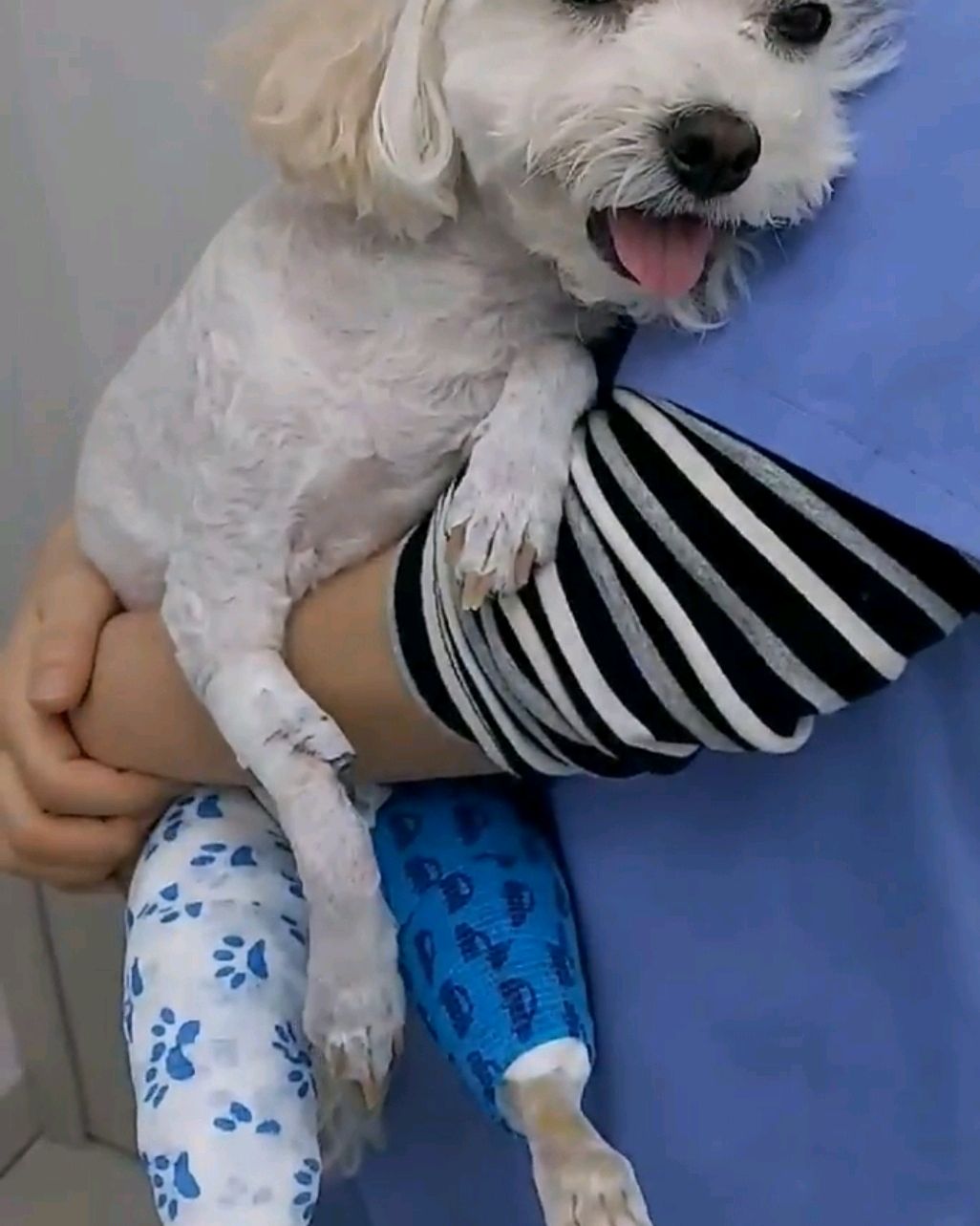 리뷰 사진 2