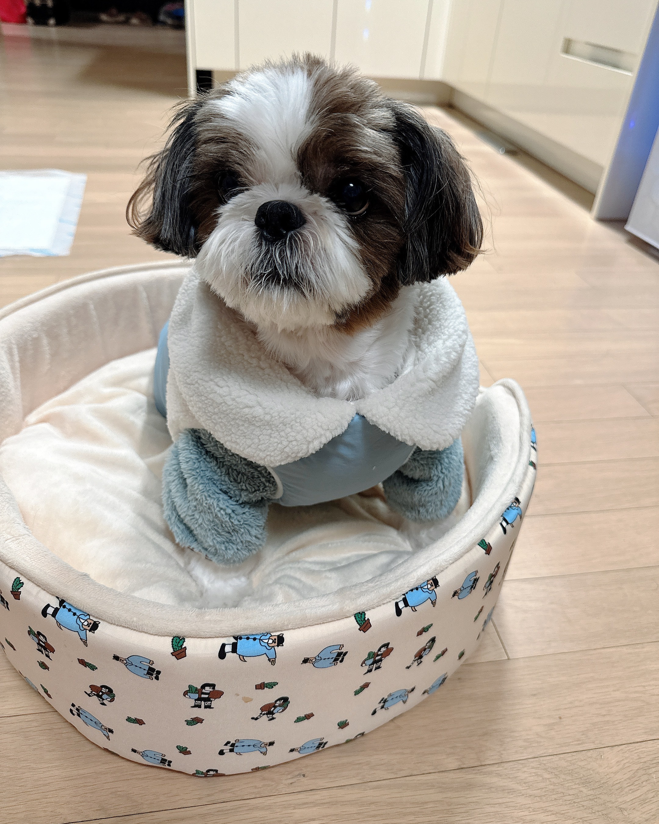 리뷰 사진 1