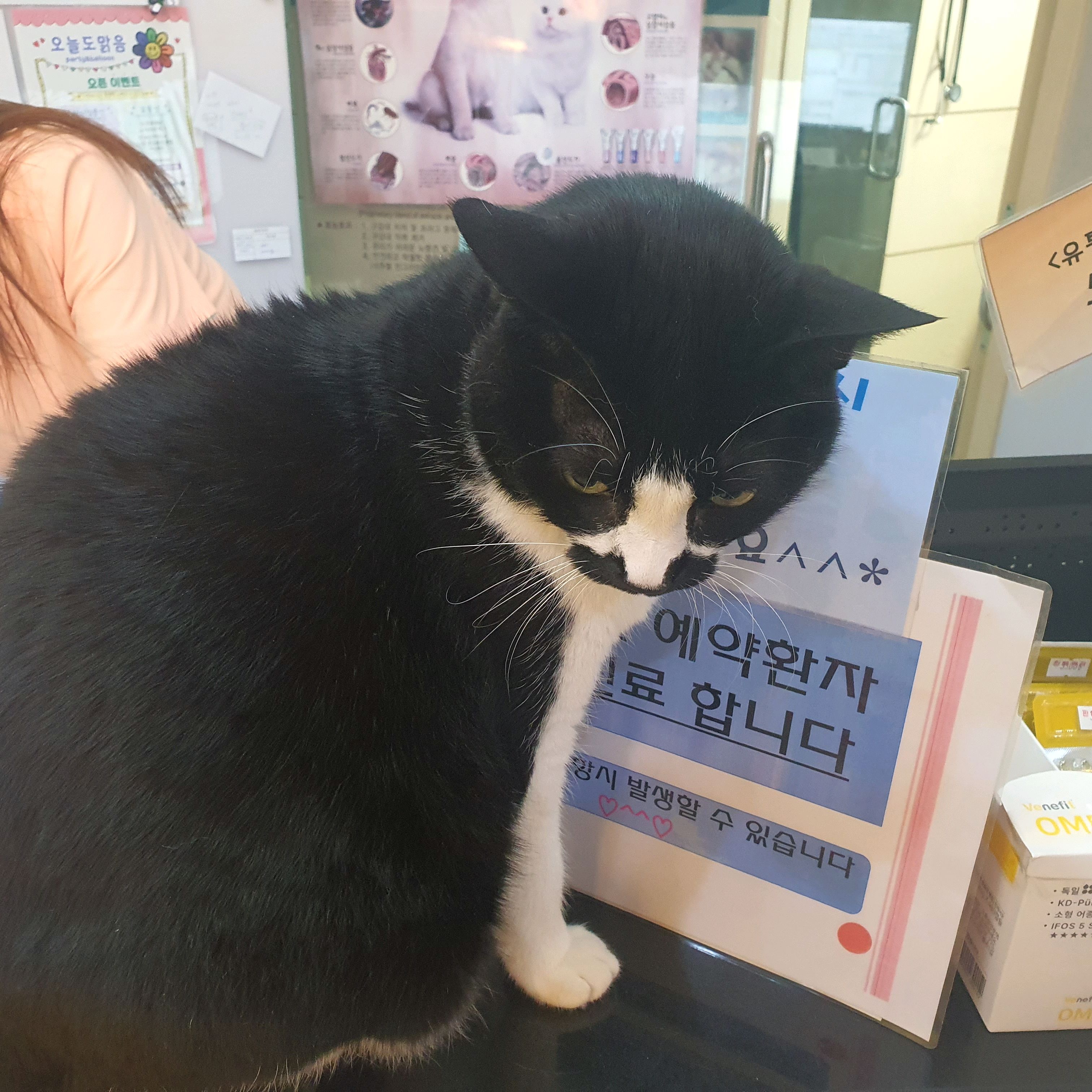 리뷰 사진 1