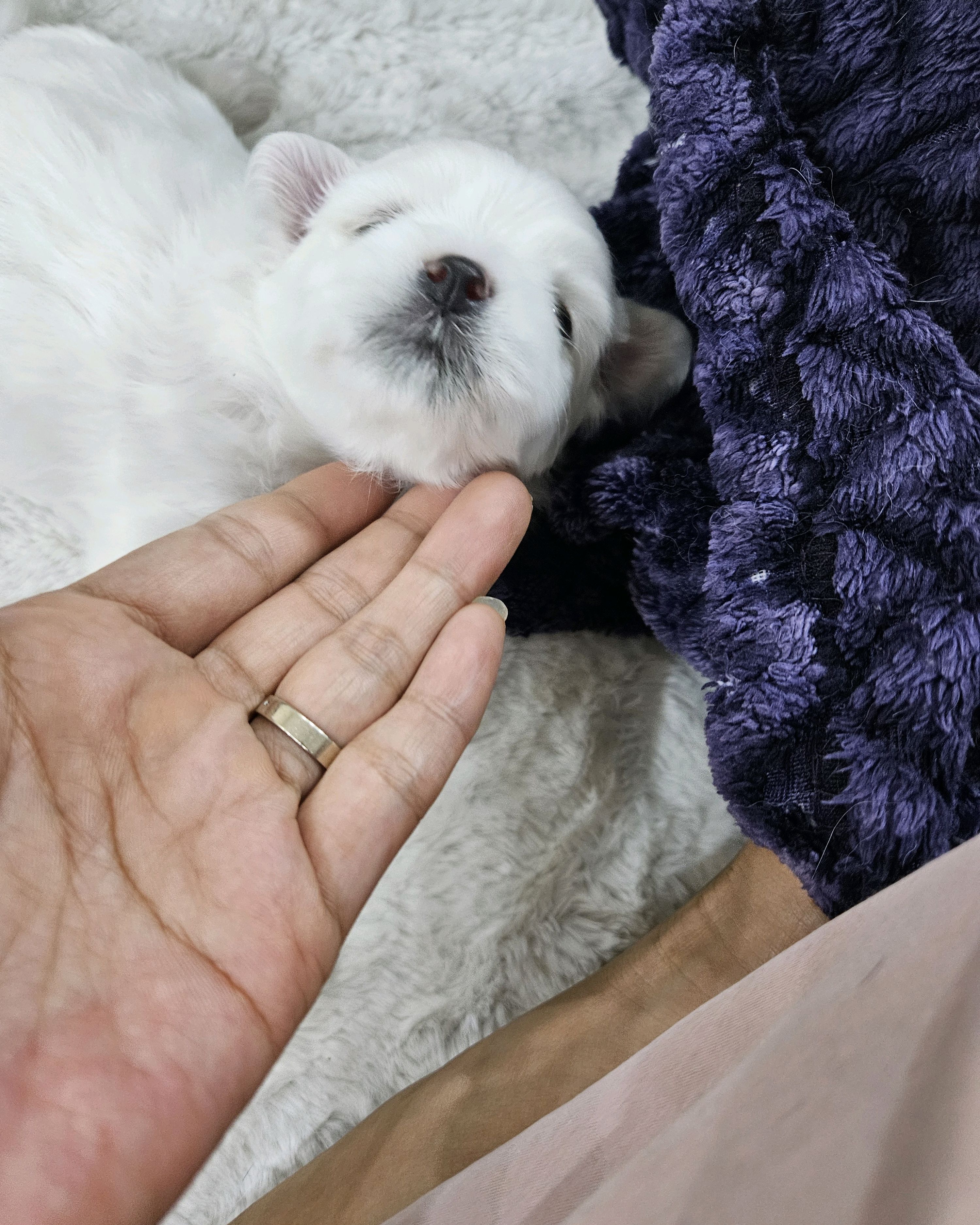 리뷰 사진 1