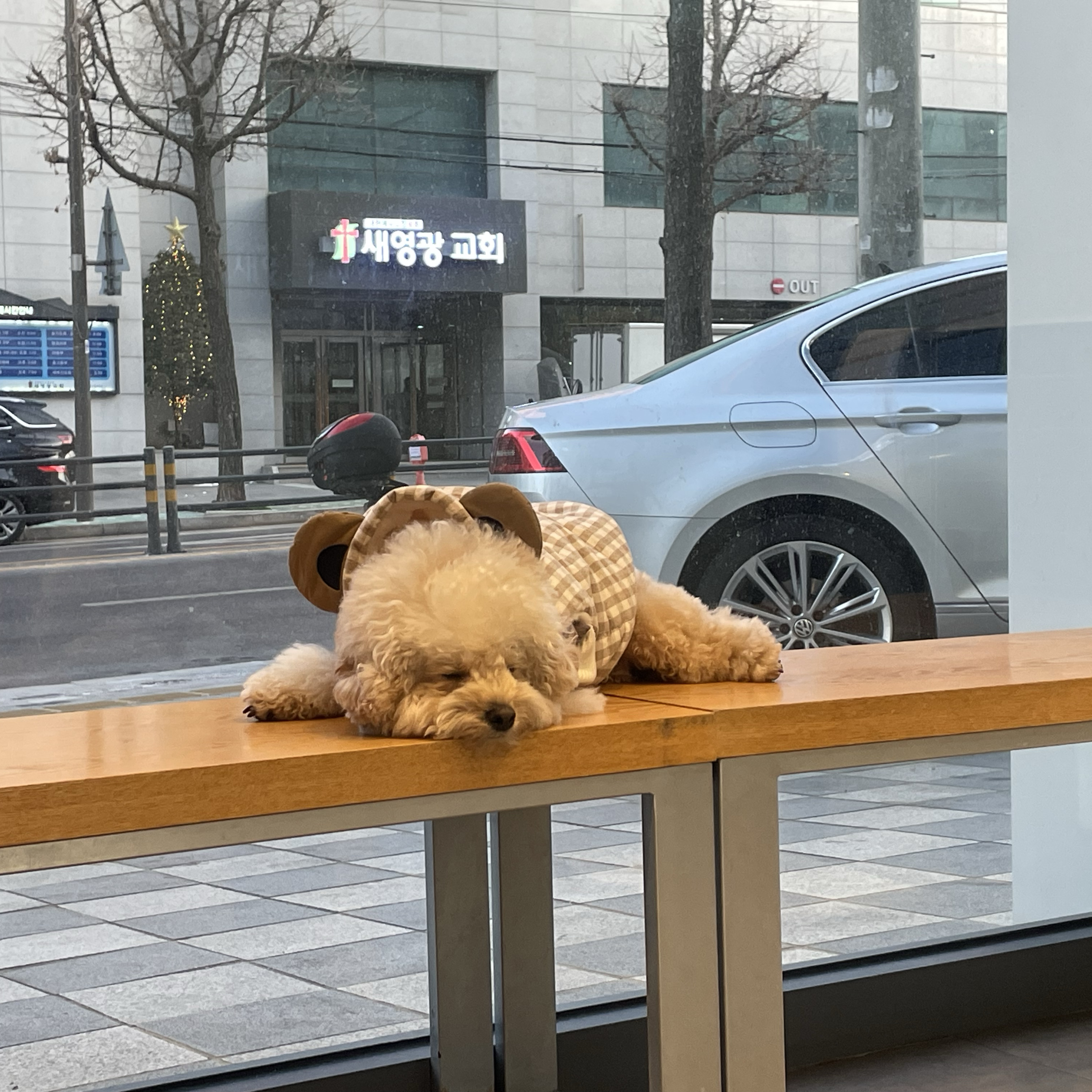 리뷰 사진 2