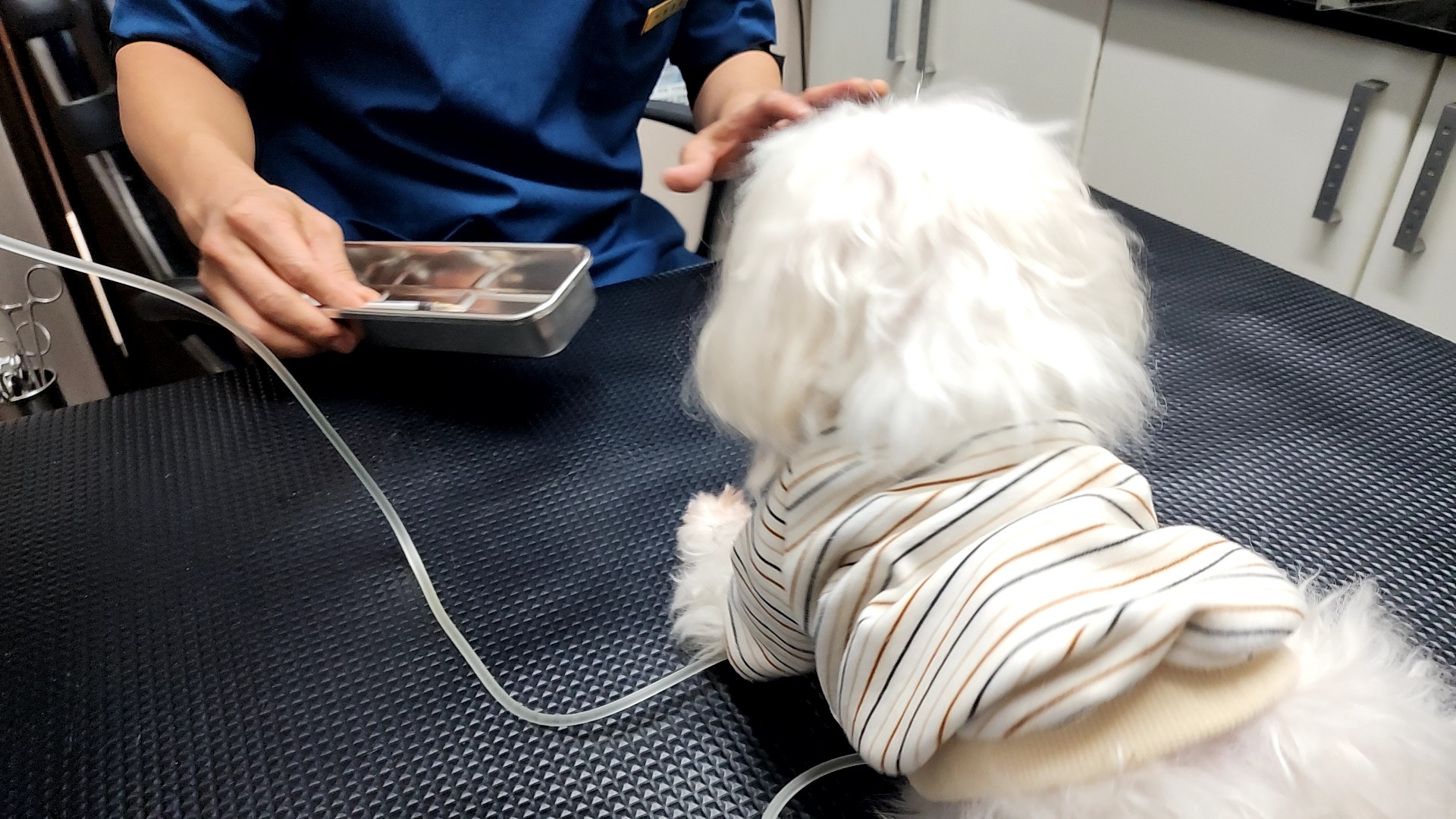 리뷰 사진 1
