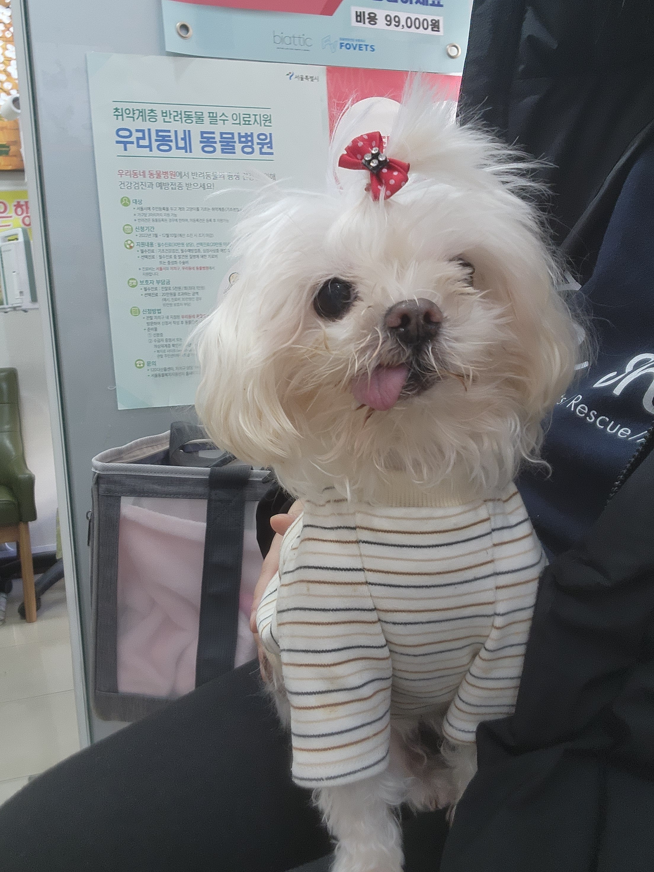 리뷰 사진 3