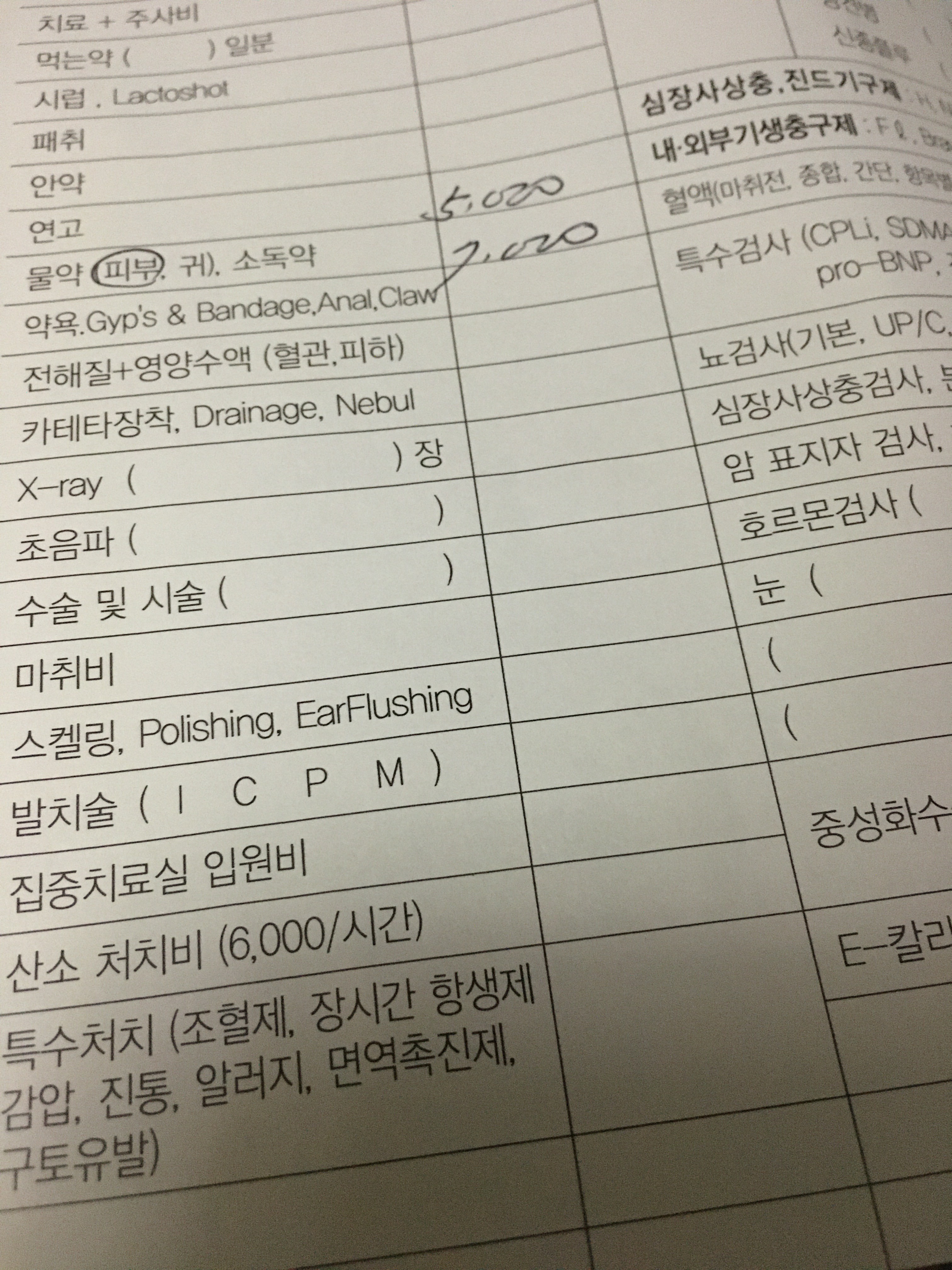 리뷰 사진 1