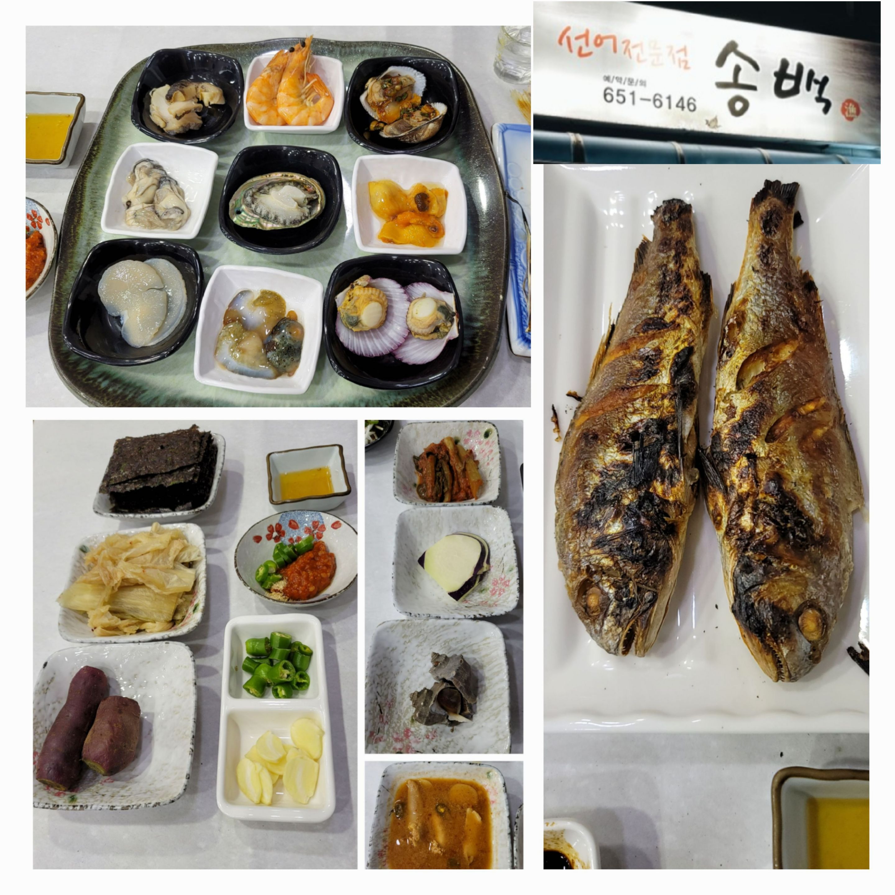 [여수 맛집 송백 선어] 직접 가본 로컬 리뷰