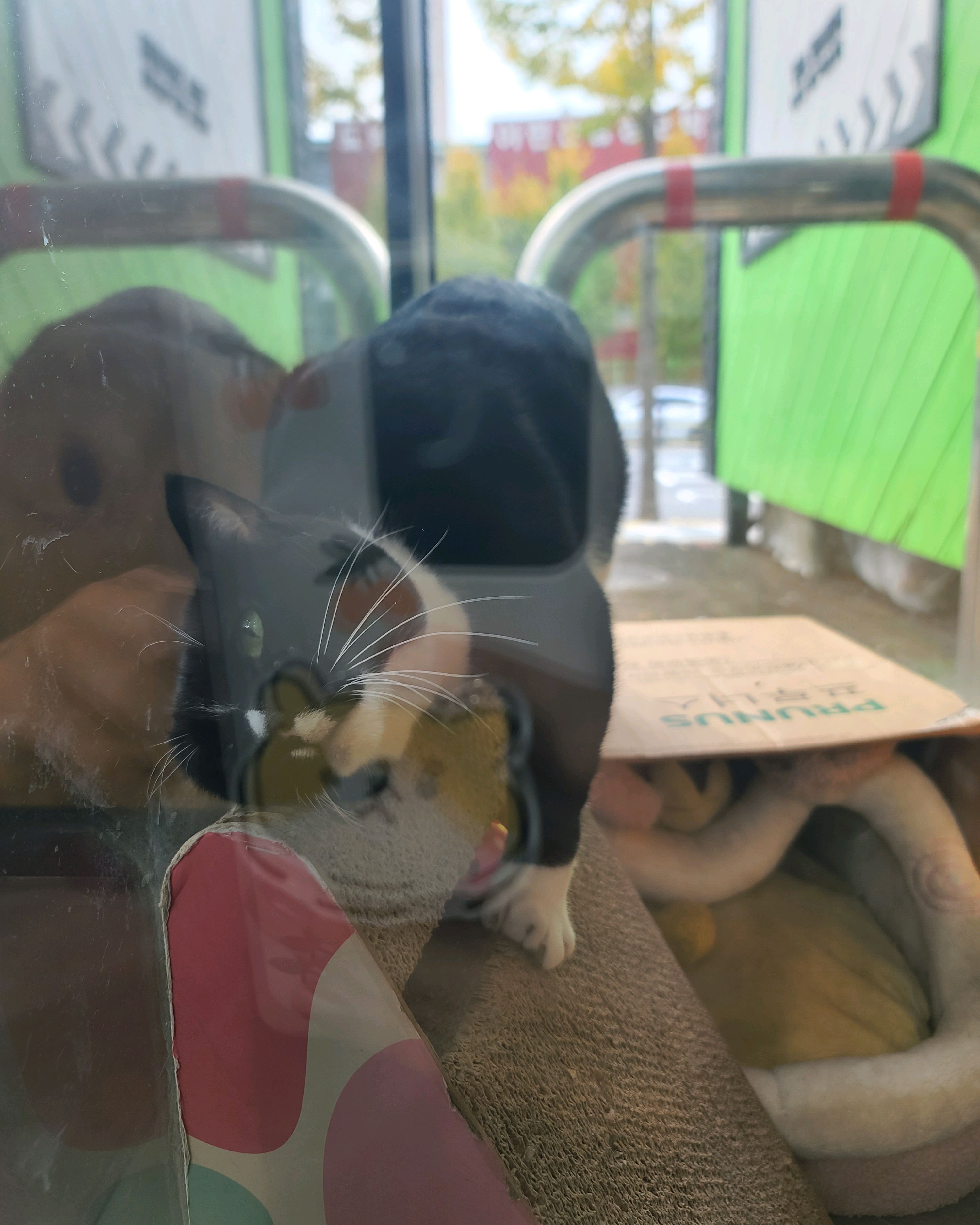 북아현동물병원 사진 4