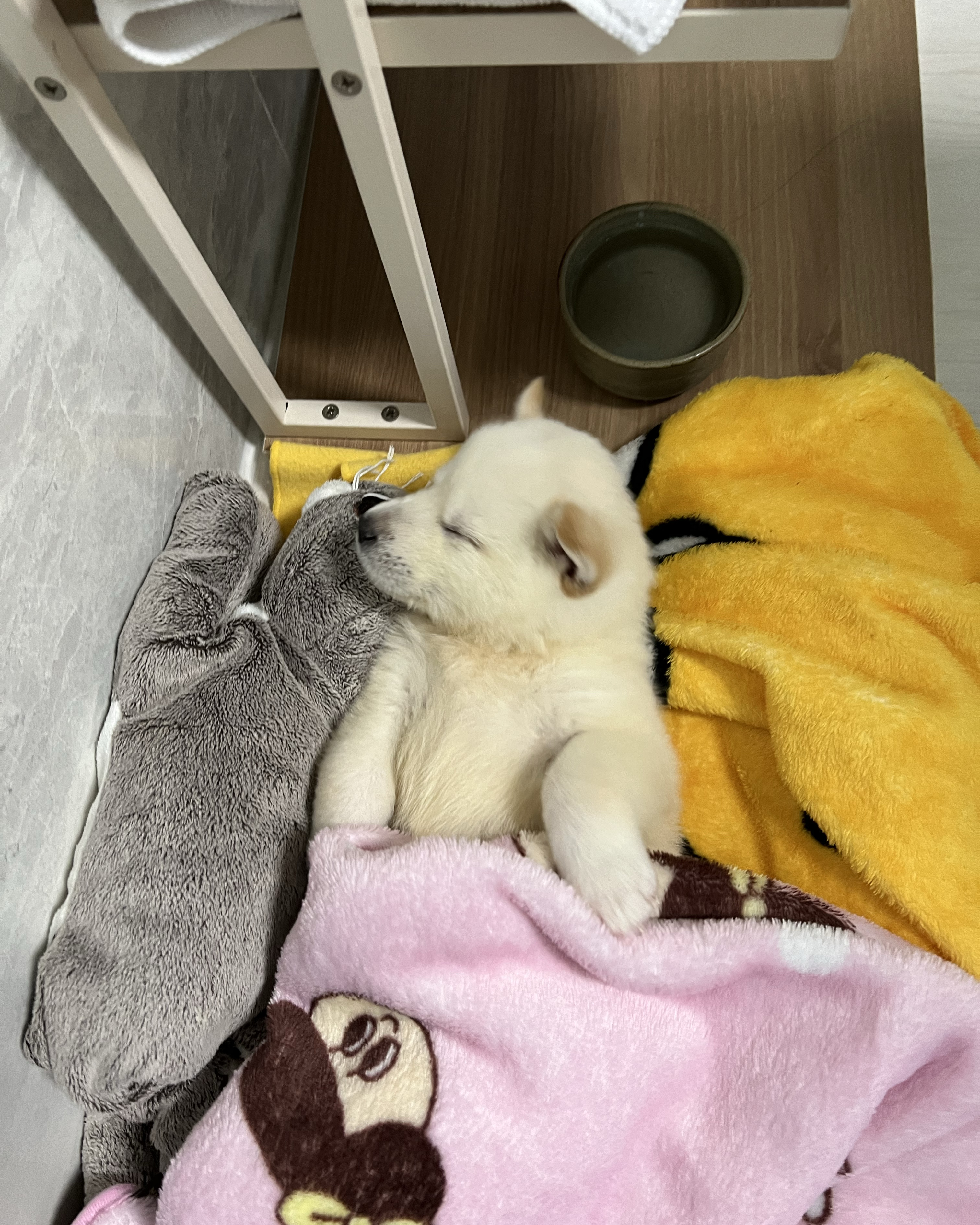 리뷰 사진 1
