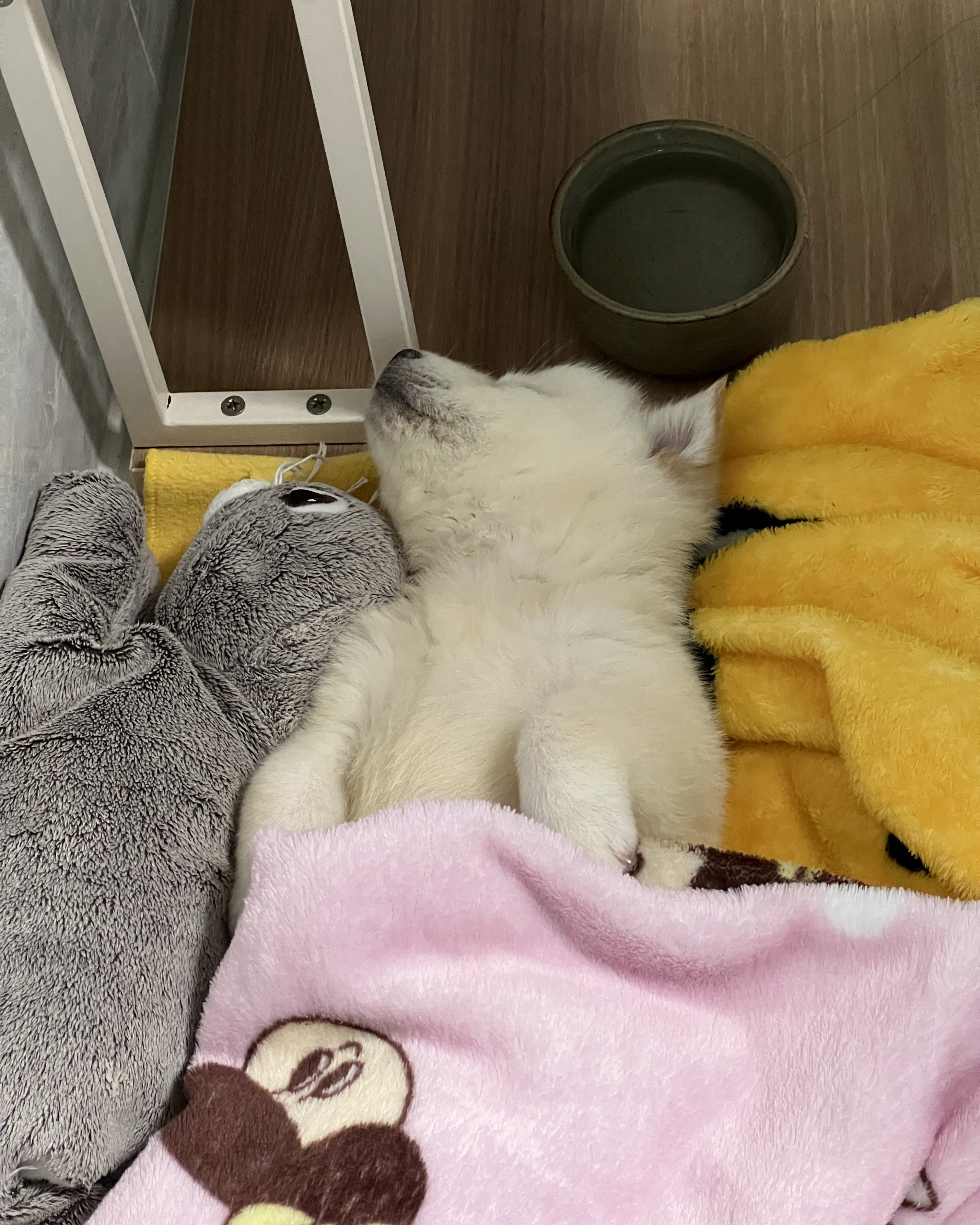 리뷰 사진 2
