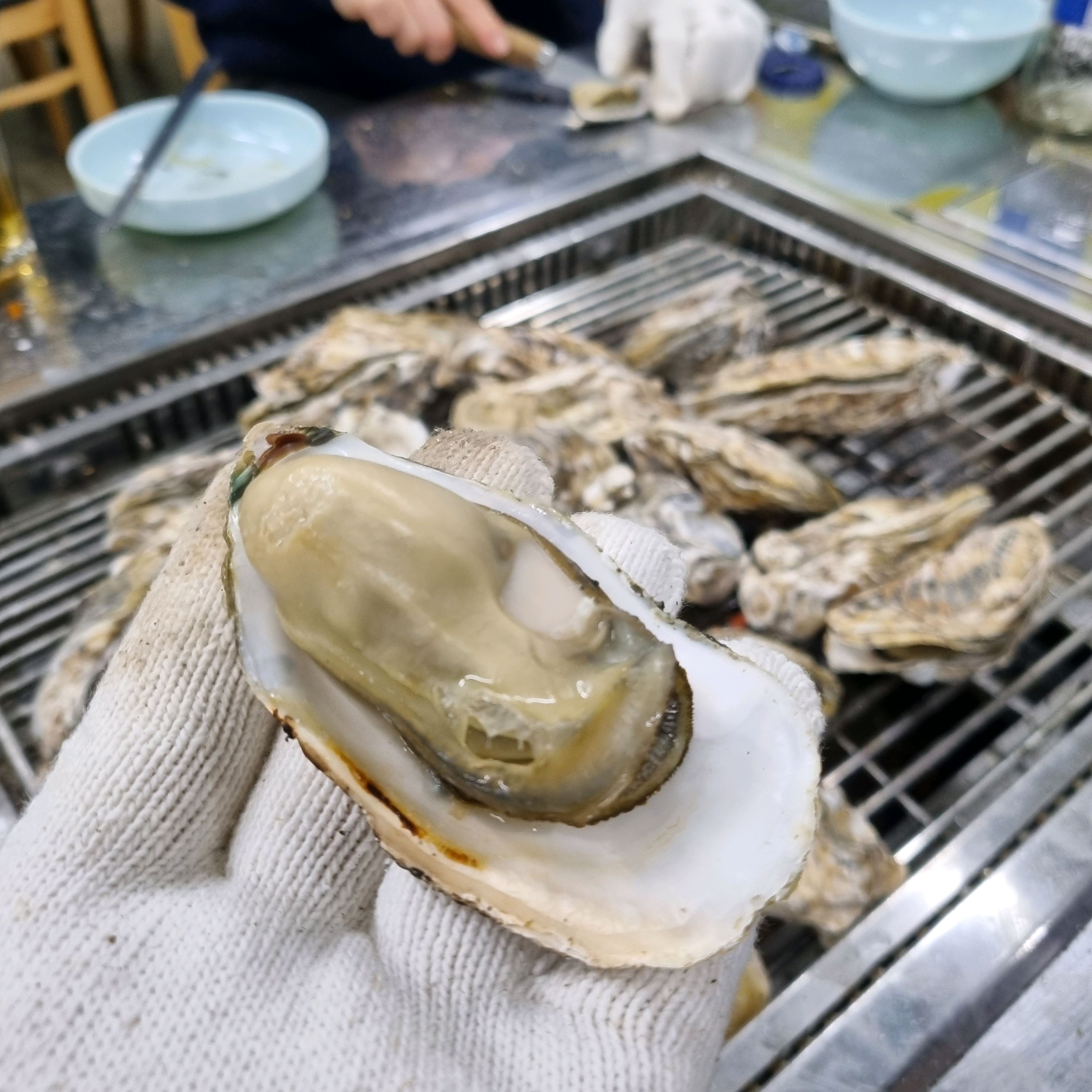 [여수 맛집 순애네 굴구이] 직접 가본 로컬 리뷰