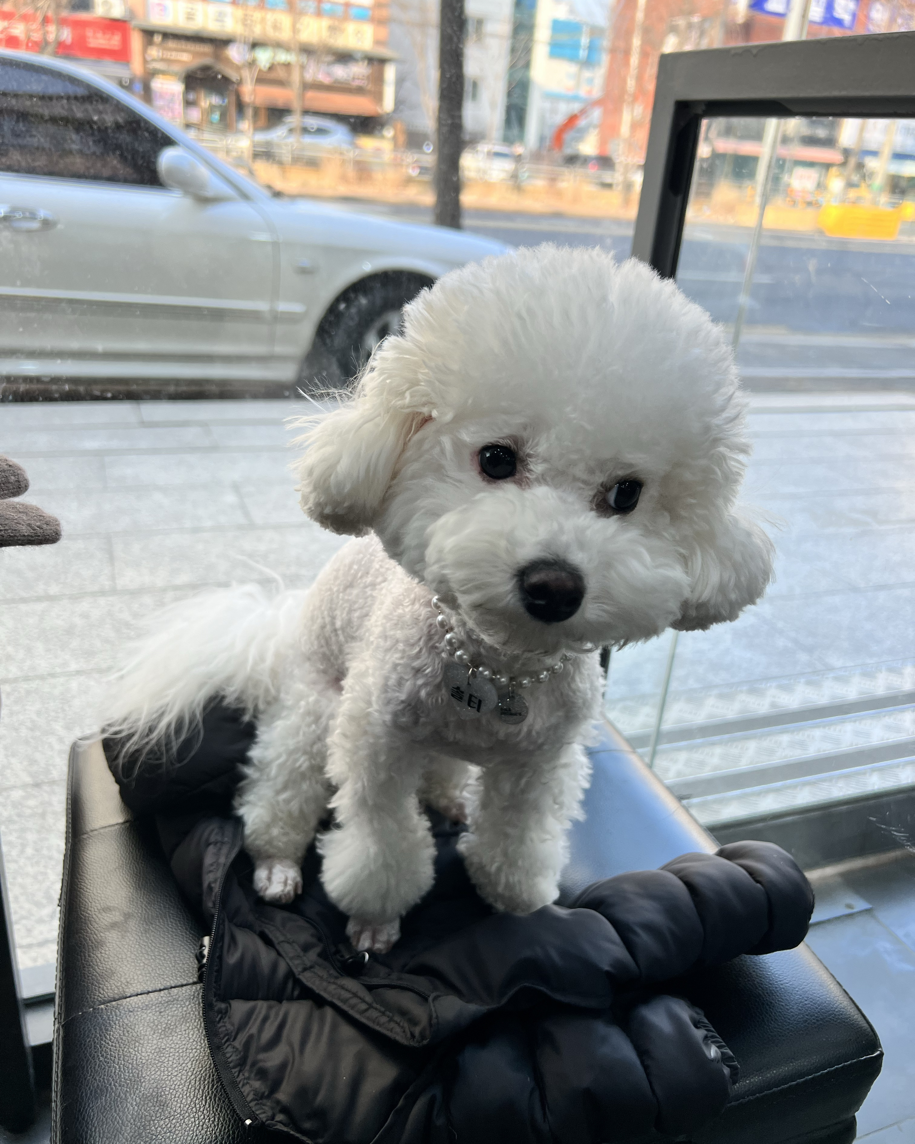 리뷰 사진 1