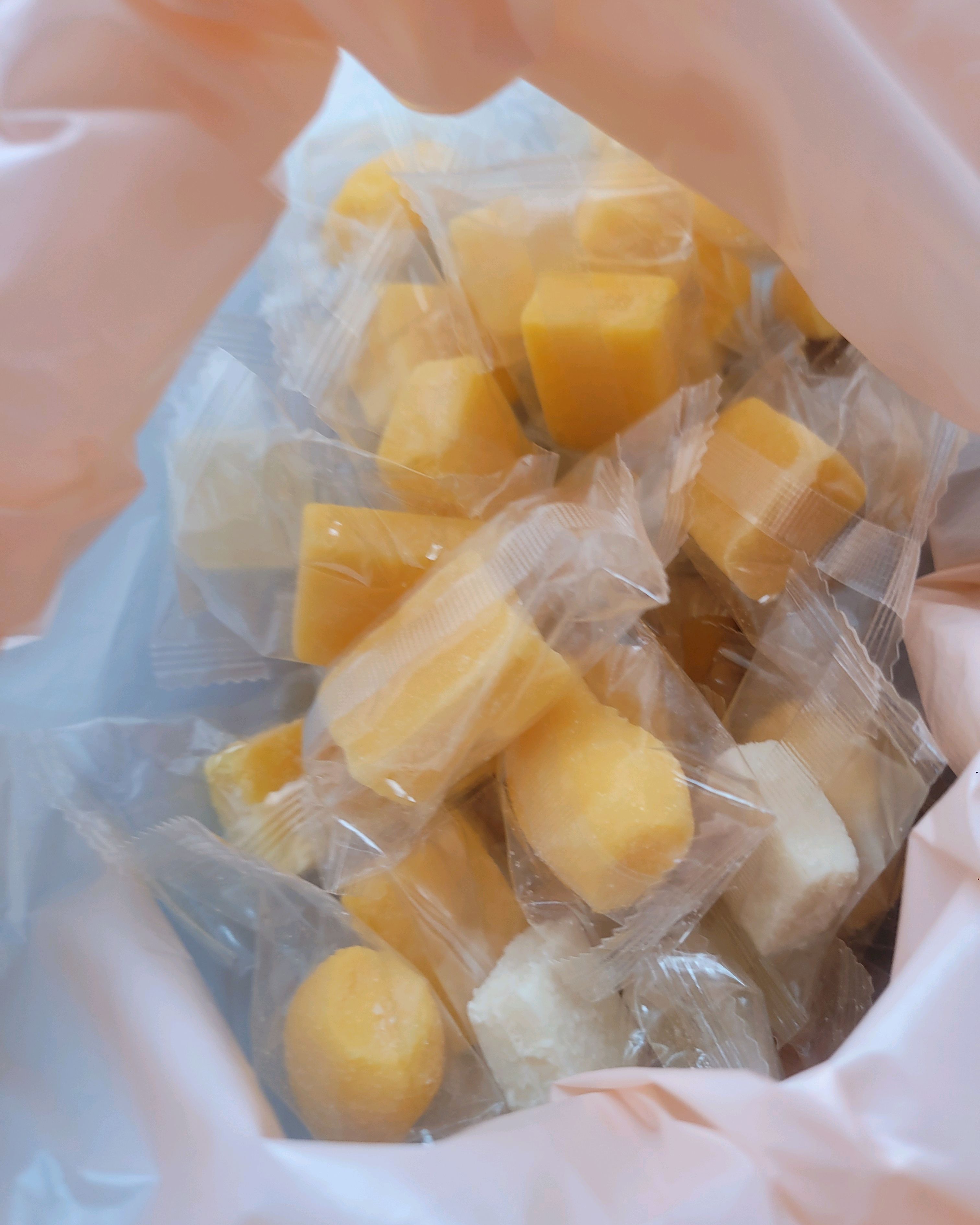 [애월 맛집 망고레이 본점] 직접 가본 로컬 리뷰