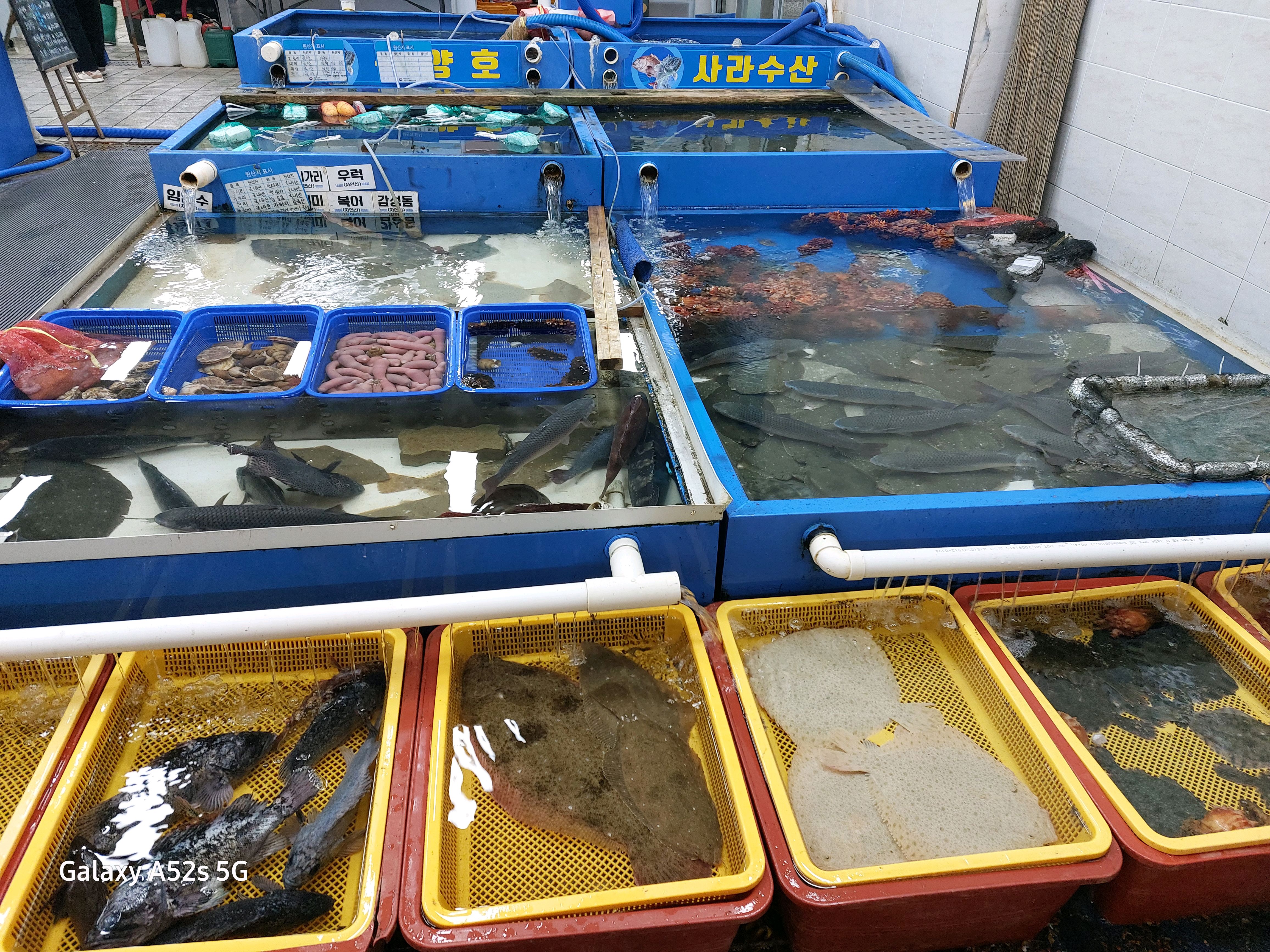 [동해 맛집 사라수산] 직접 가본 로컬 리뷰