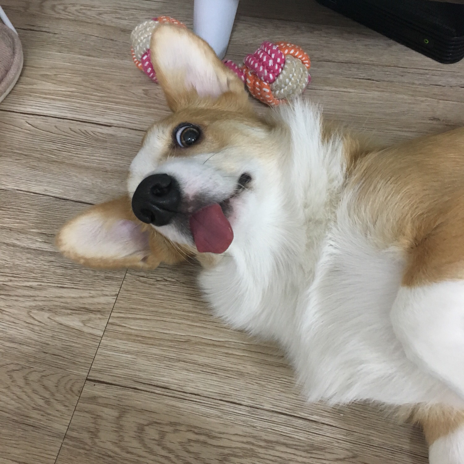 리뷰 사진 1