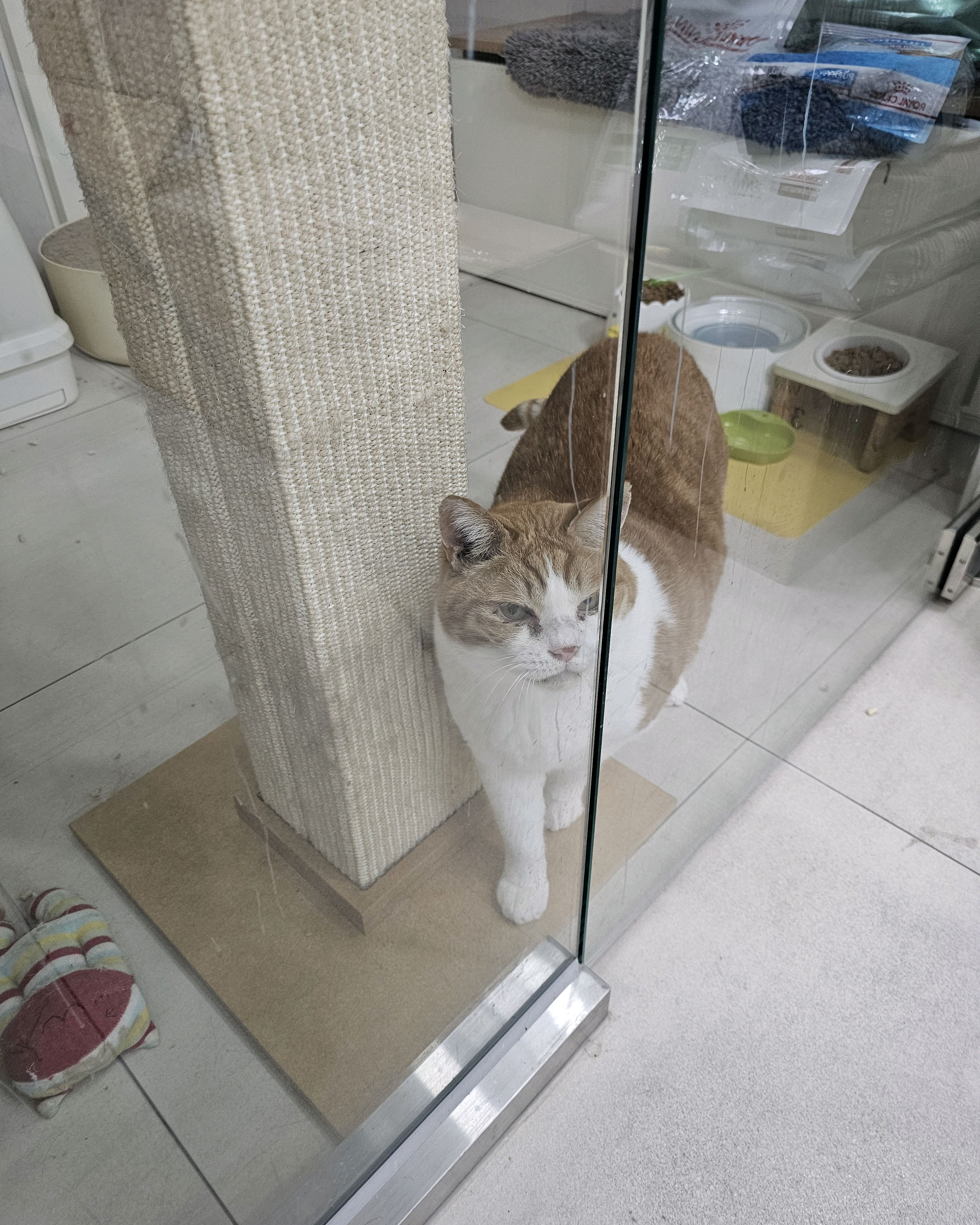 리뷰 사진 2