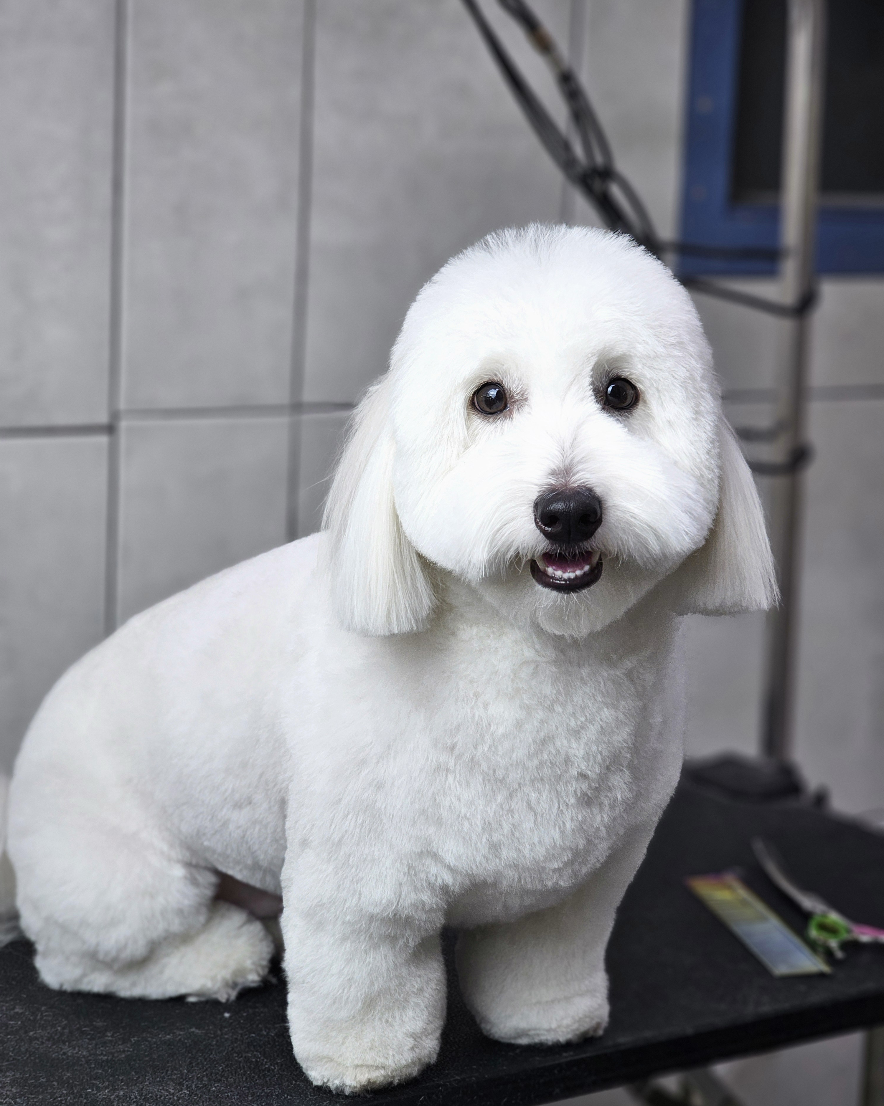 리뷰 사진 1