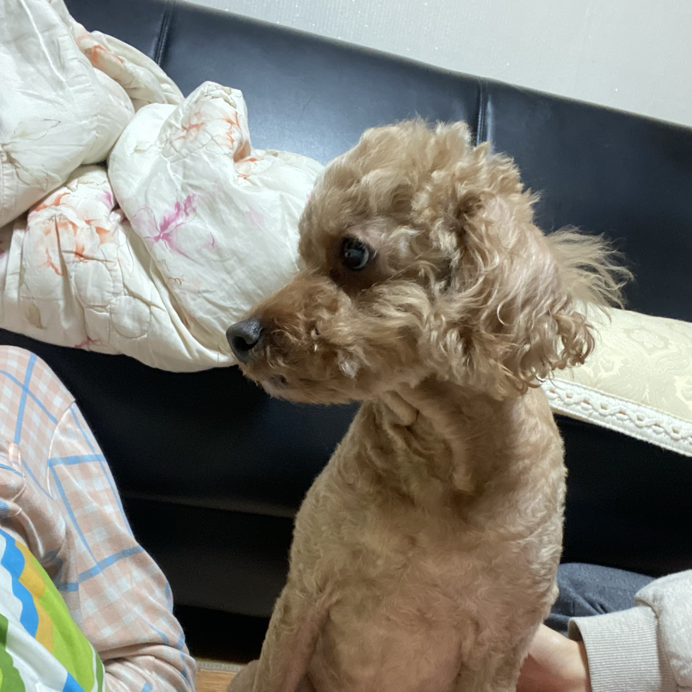 리뷰 사진 1