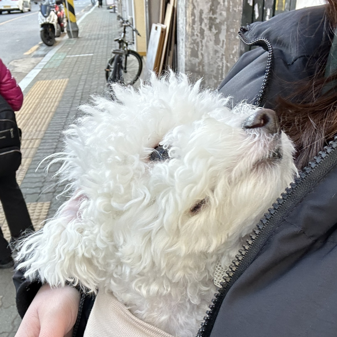 리뷰 사진 1