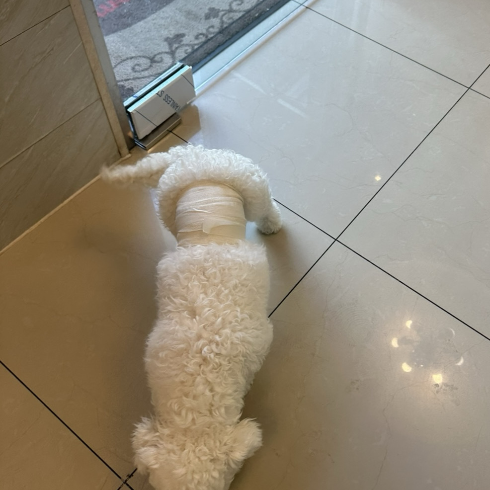 리뷰 사진 1