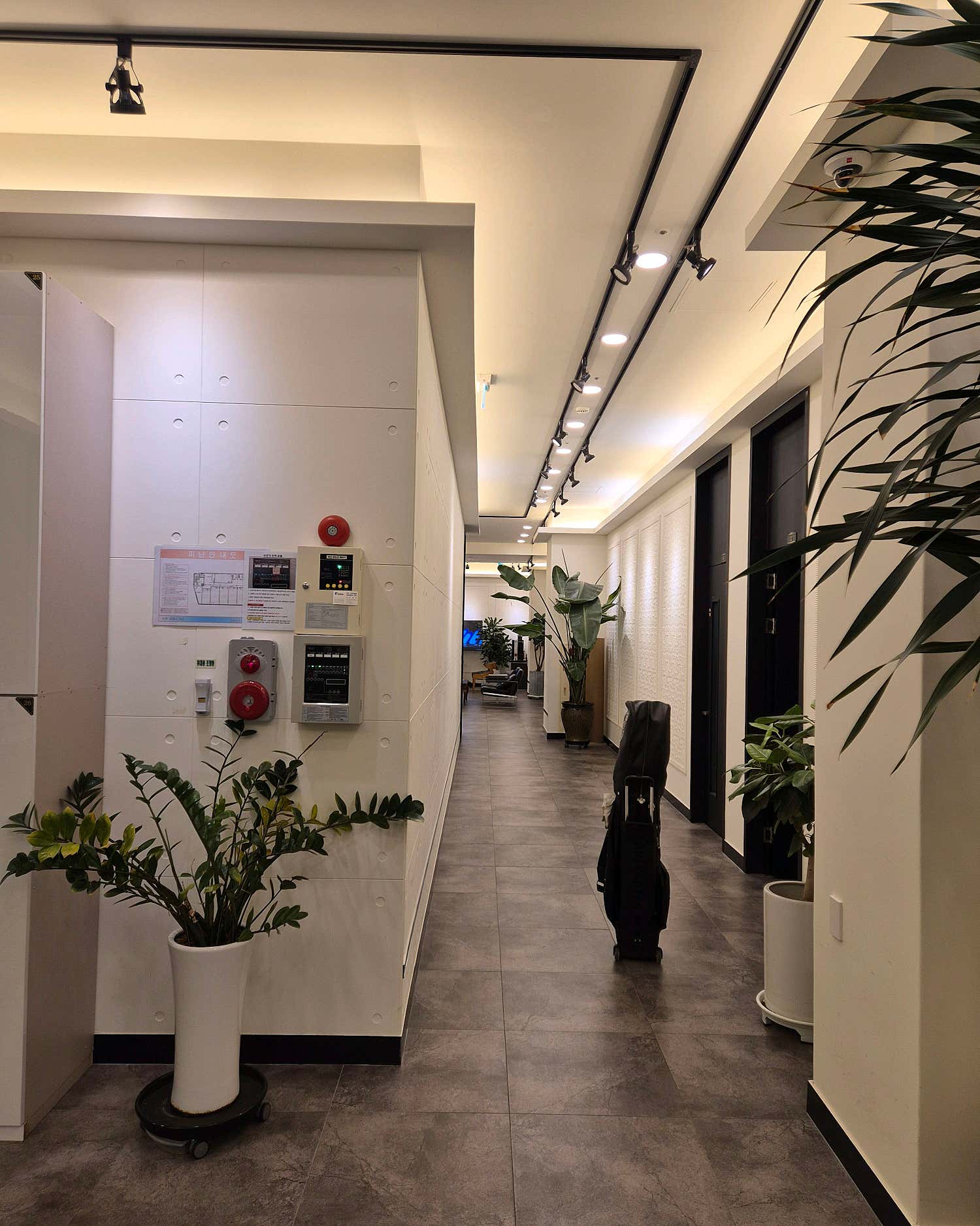 명품스포츠&아로마 (개금역) 매장 사진 3