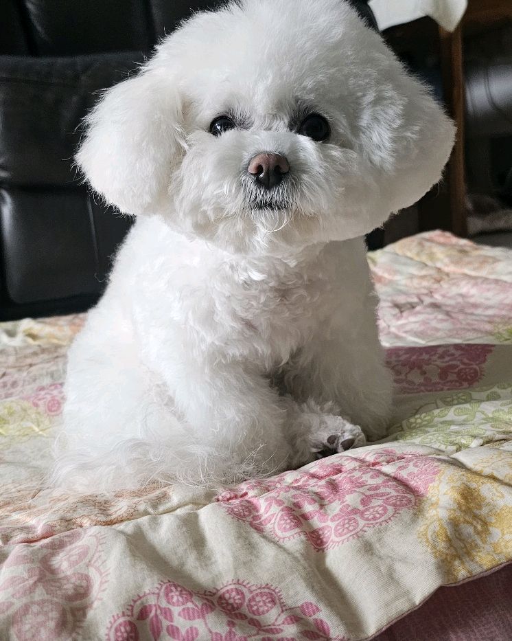 리뷰 사진 1