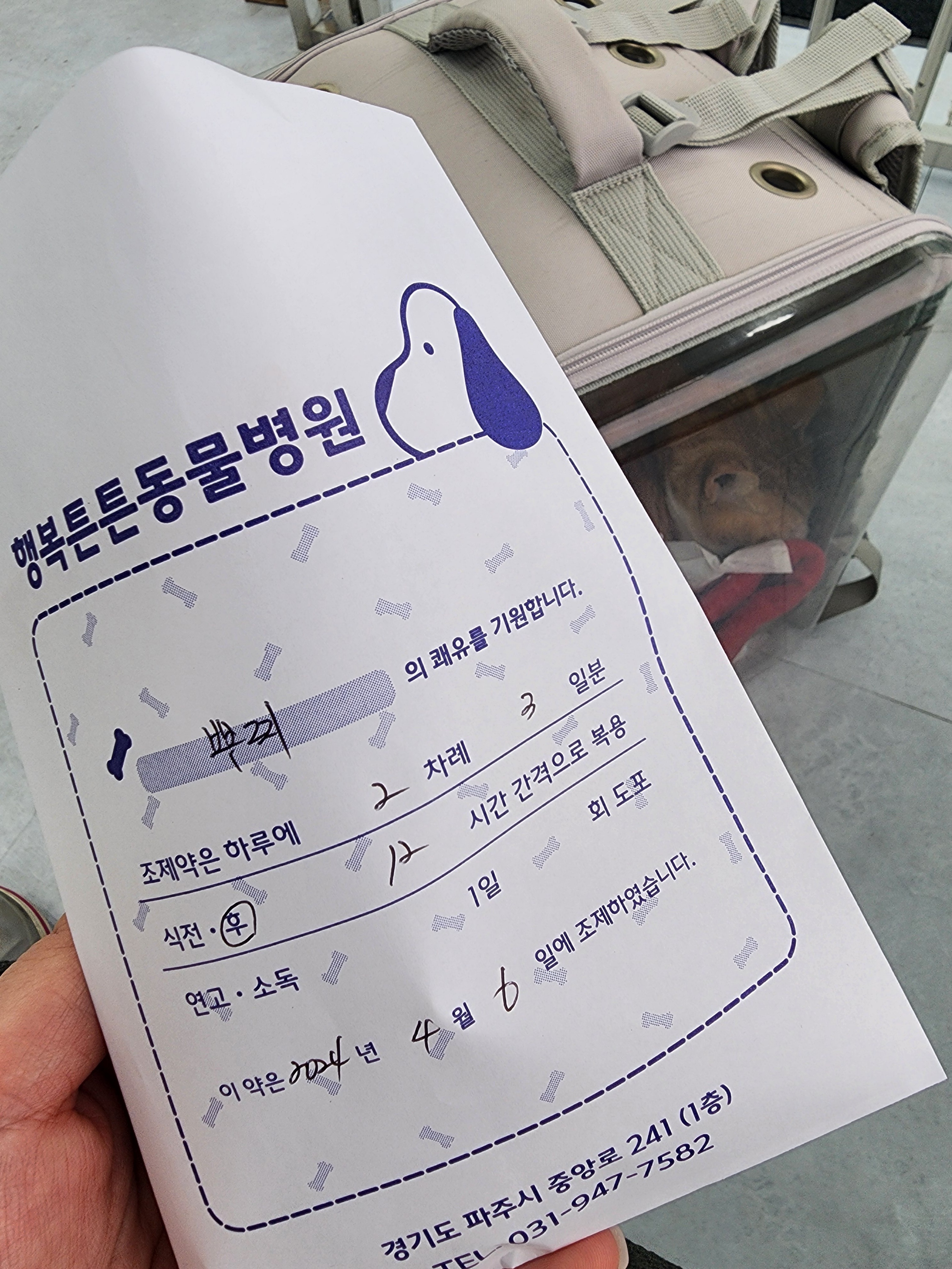 리뷰 사진 2