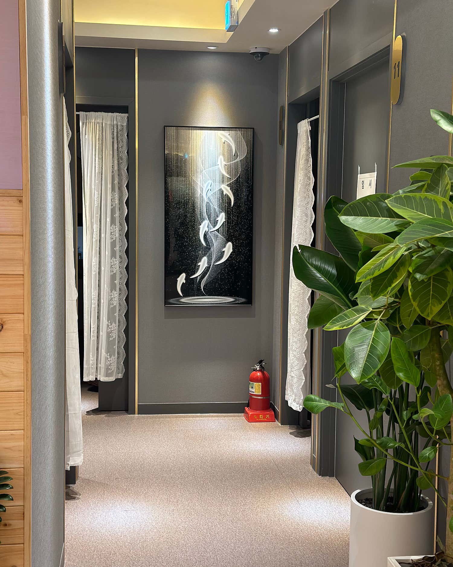 명품정통아로마 (시흥배곧) 매장 사진 7