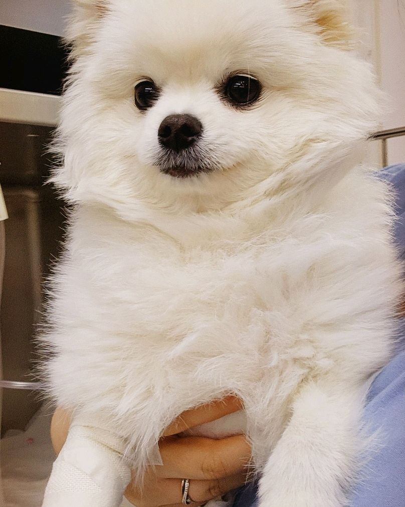 리뷰 사진 1