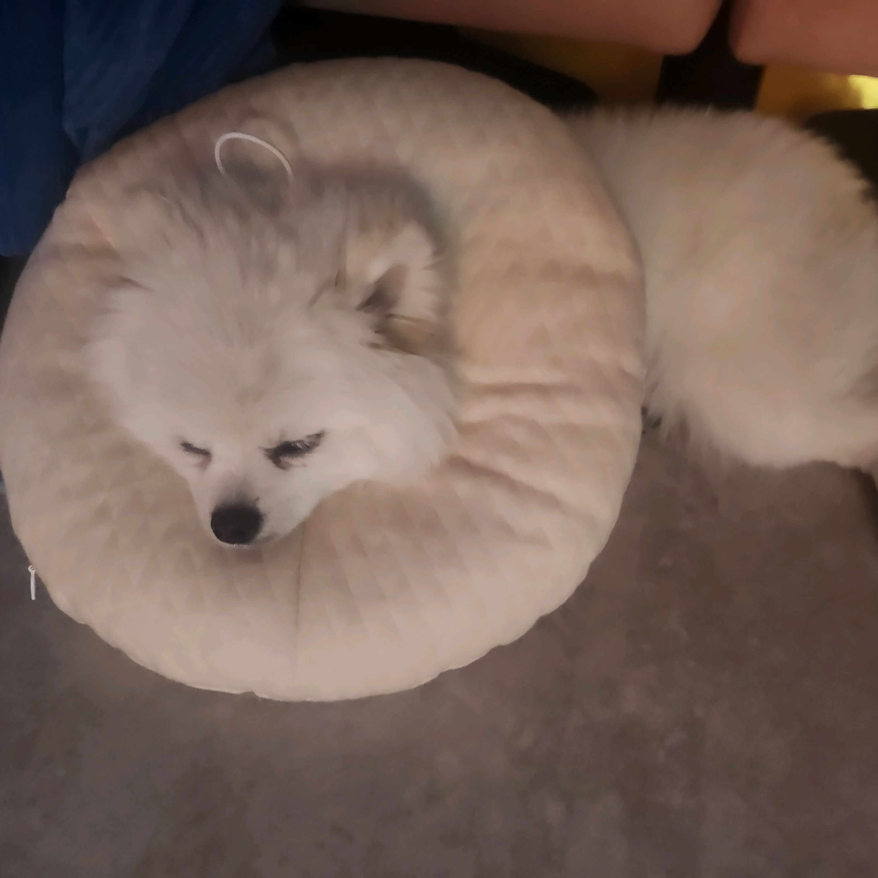 리뷰 사진 2