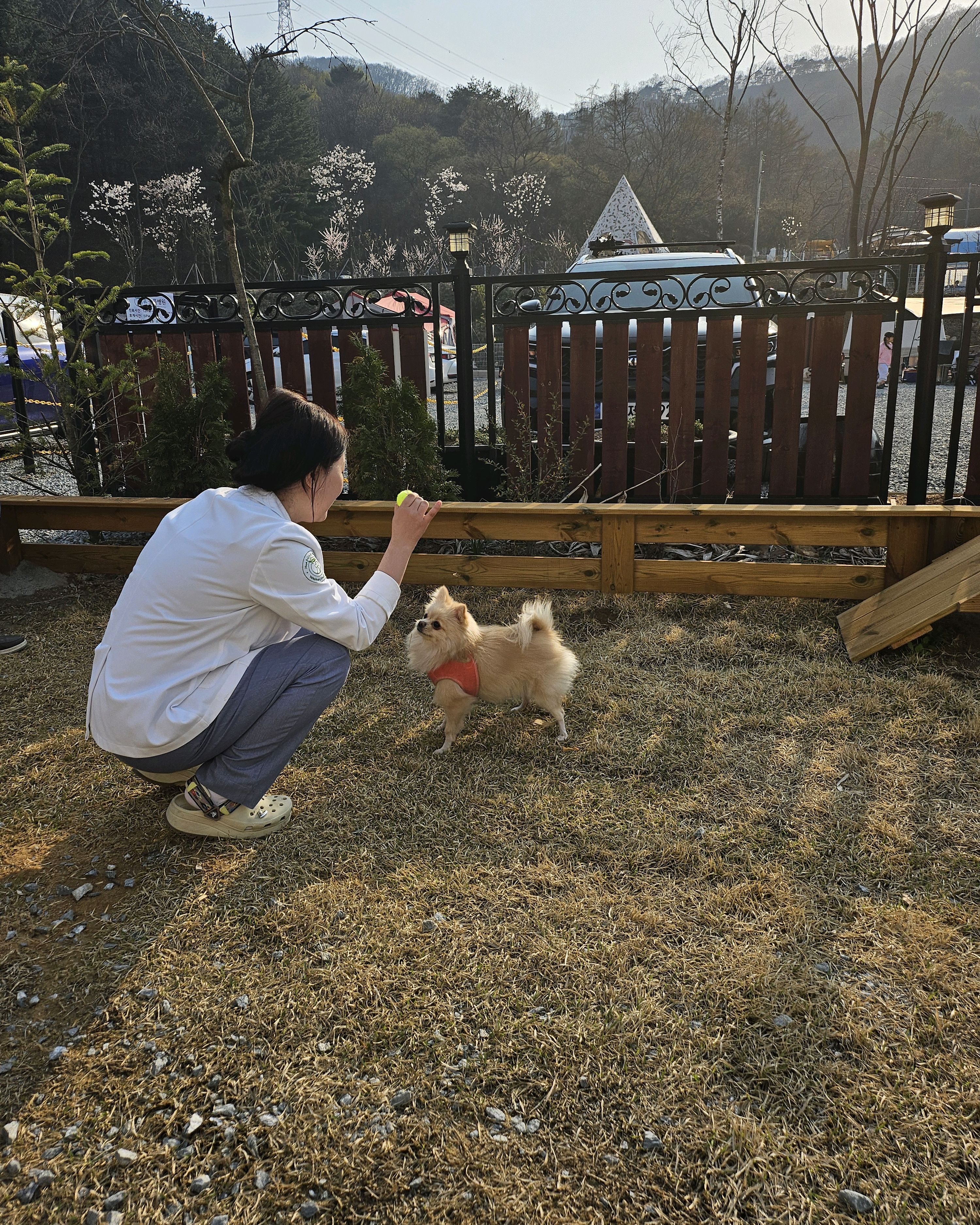 리뷰 사진 1