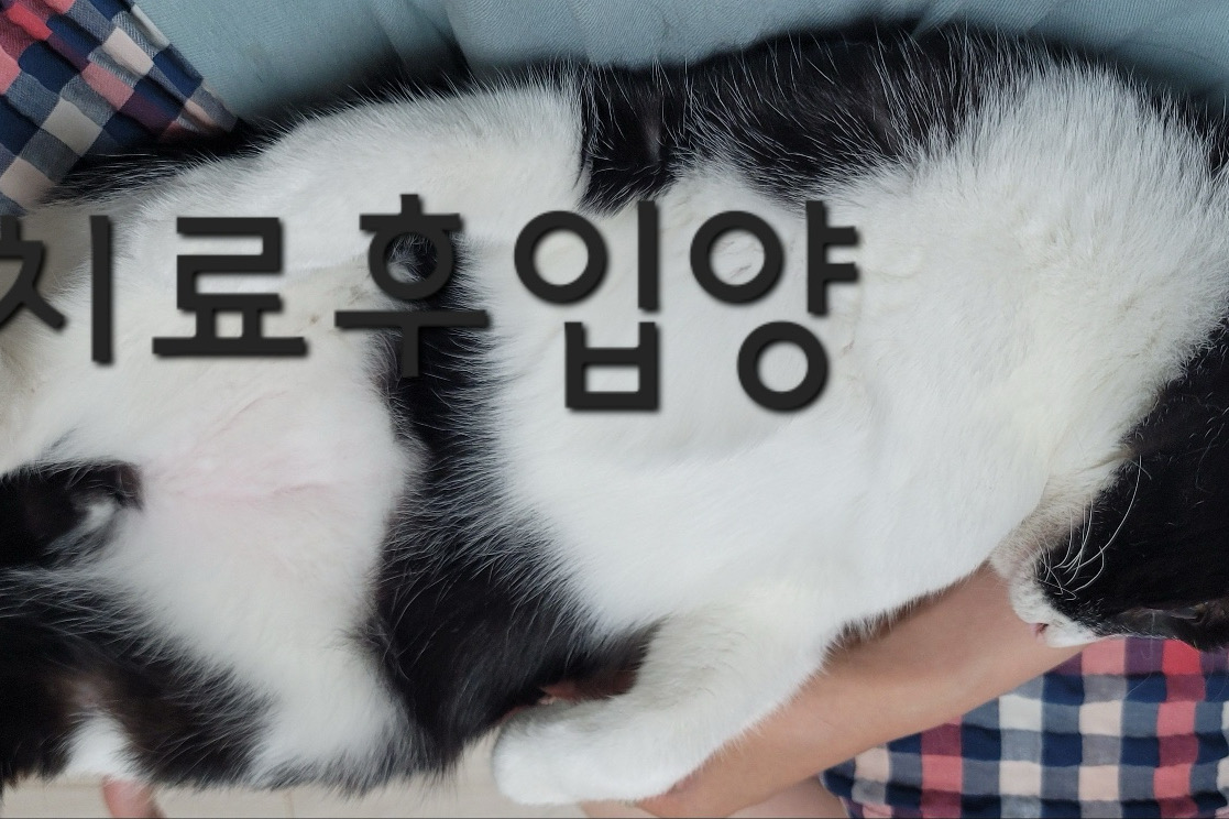 리뷰 사진 4