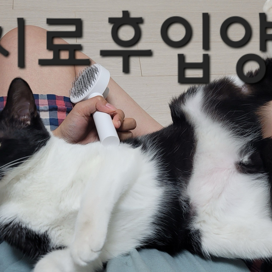 리뷰 사진 5