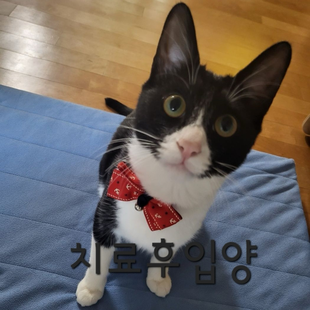 리뷰 사진 3