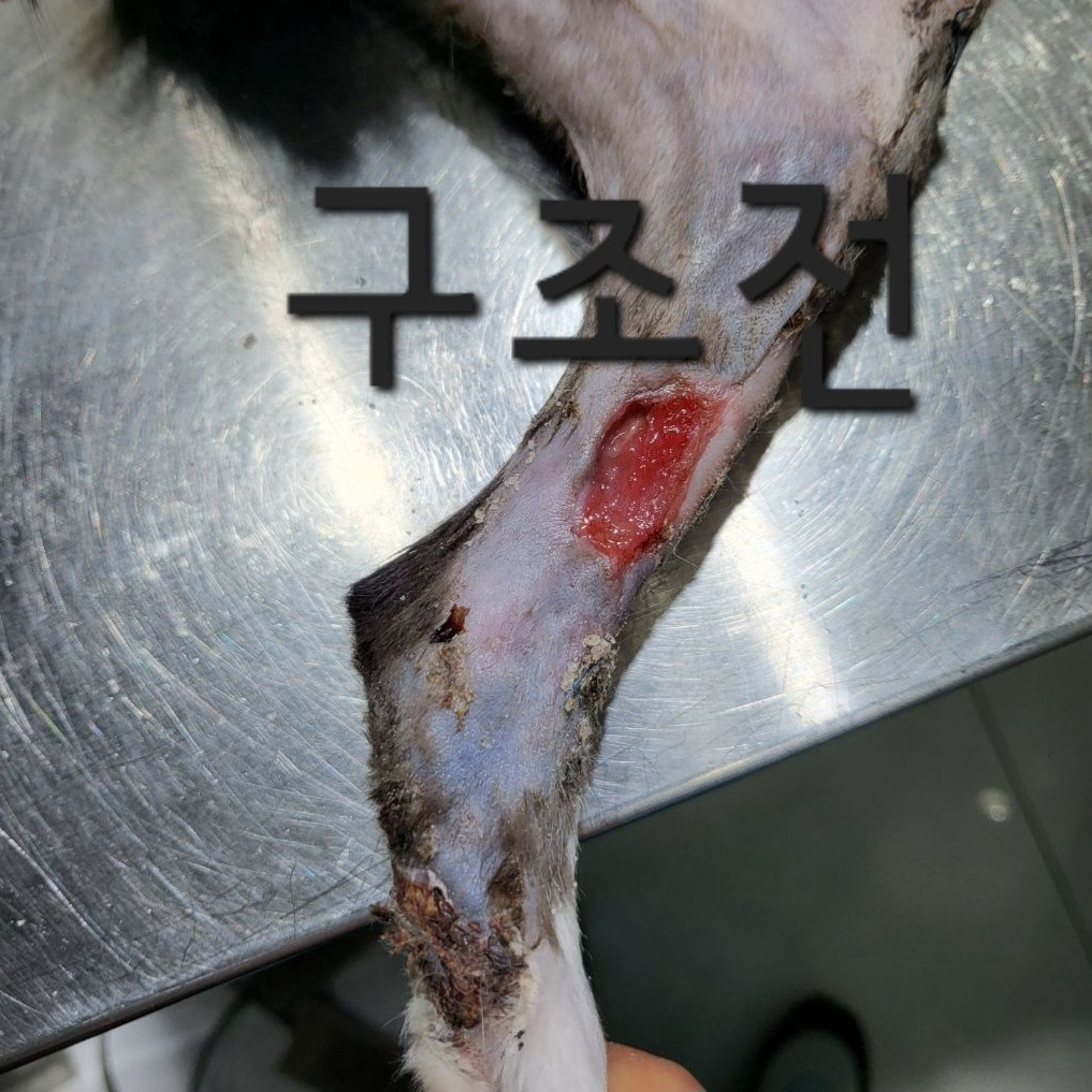 리뷰 사진 2