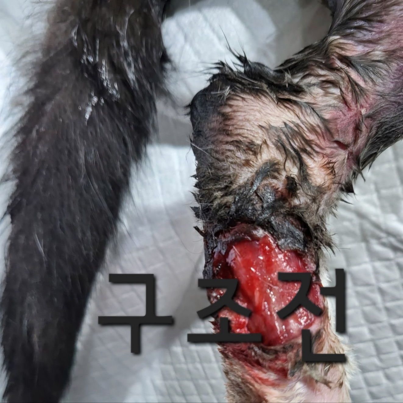 리뷰 사진 1