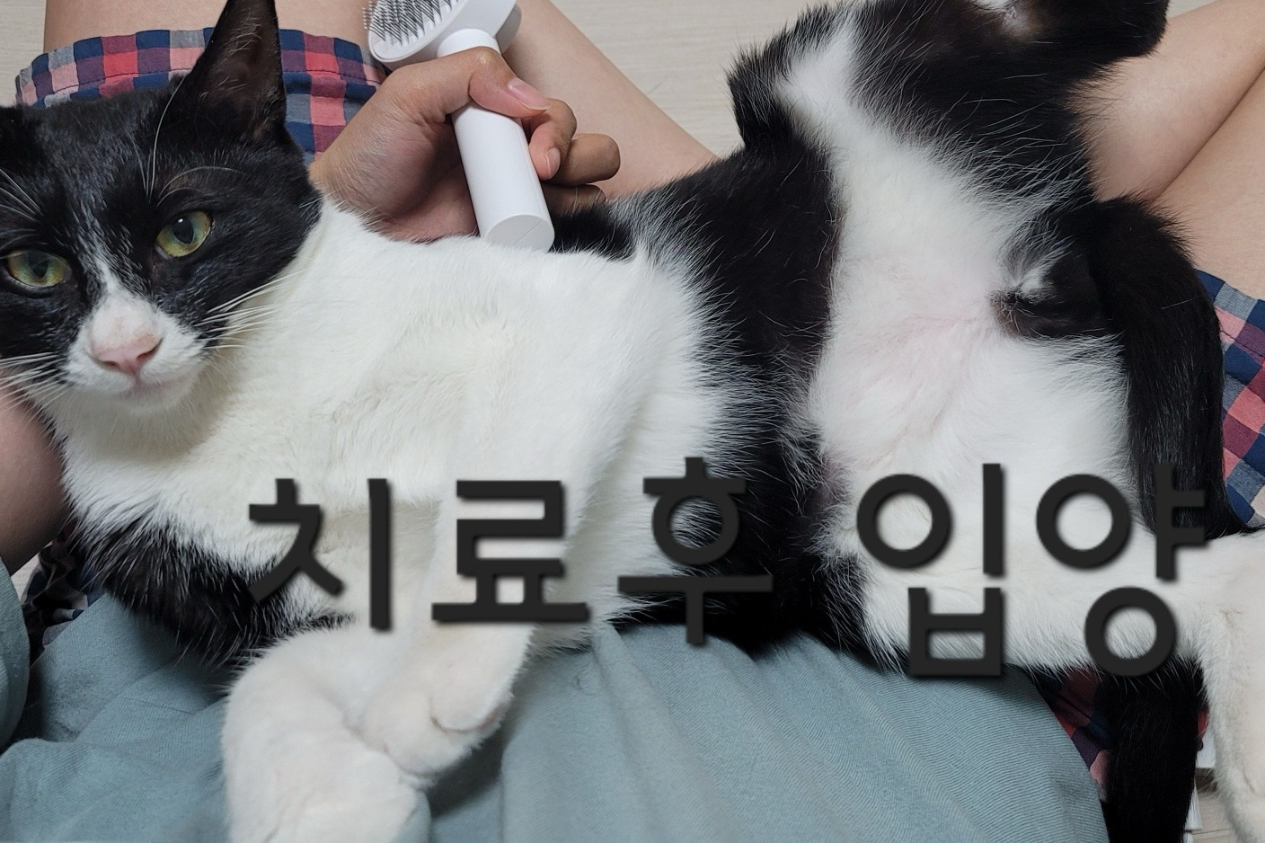 리뷰 사진 6