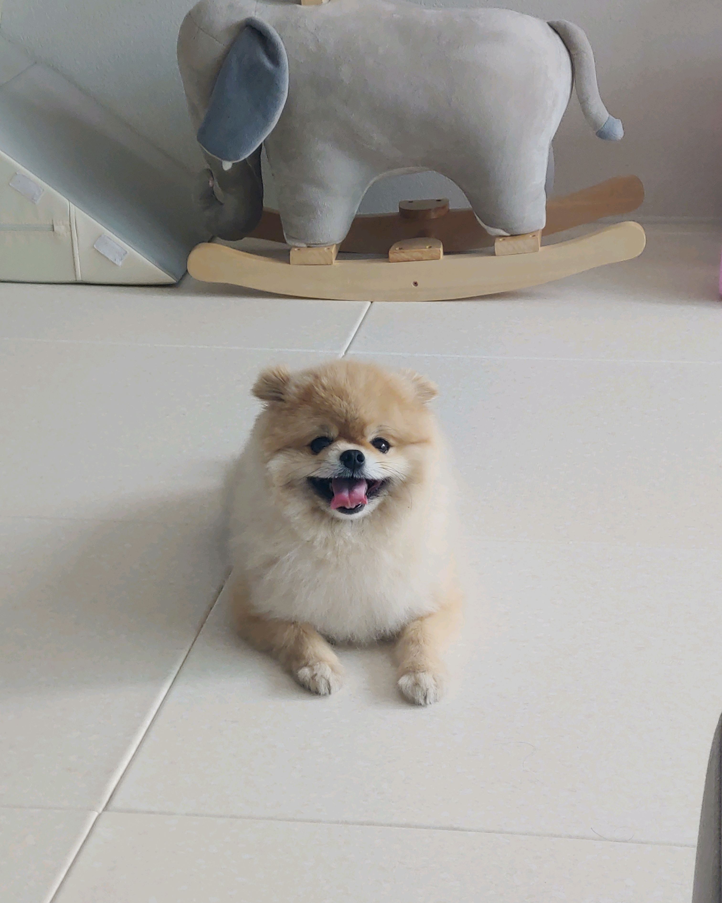 리뷰 사진 1